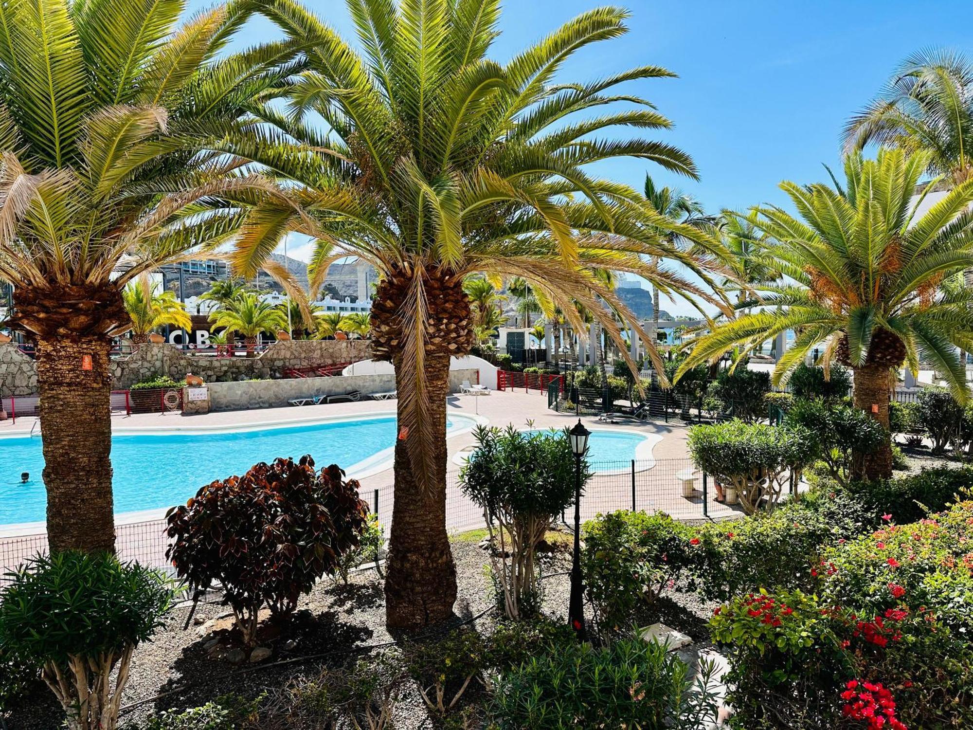 Apartment - Beachside Retreat Playa Del Cura (Gran Canaria)