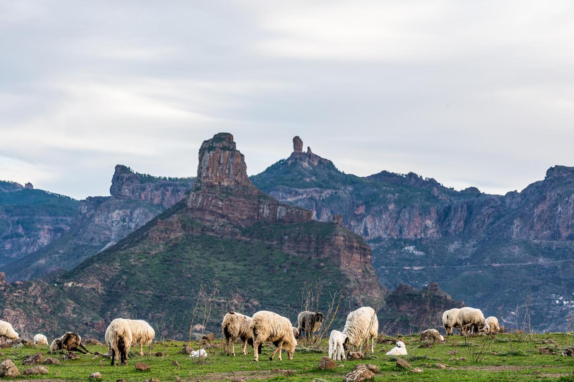 Amazing Sea View Monte Rojo San Agustin (Gran Canaria)
