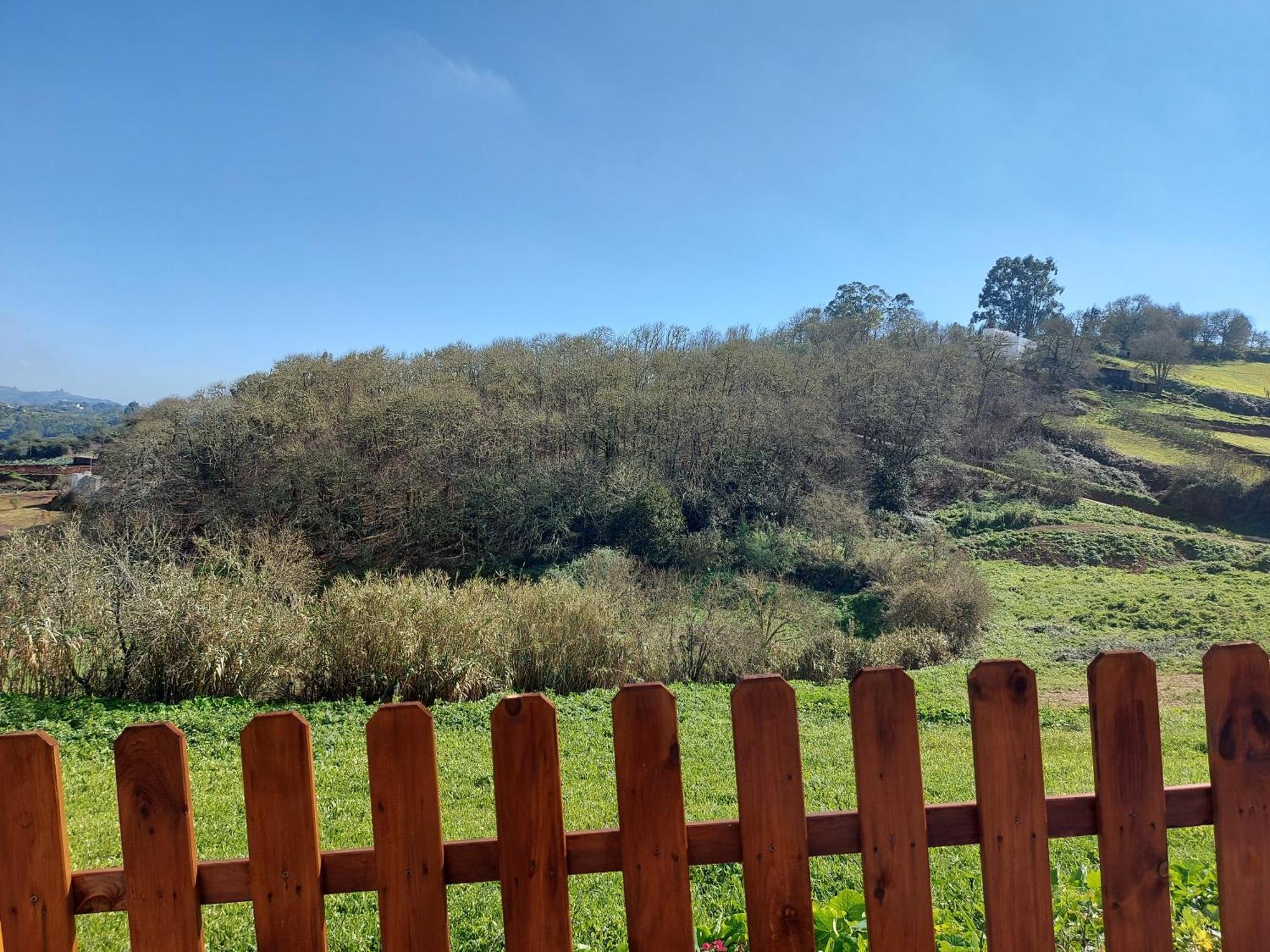 Сasa de vacaciones Naturacanaria *