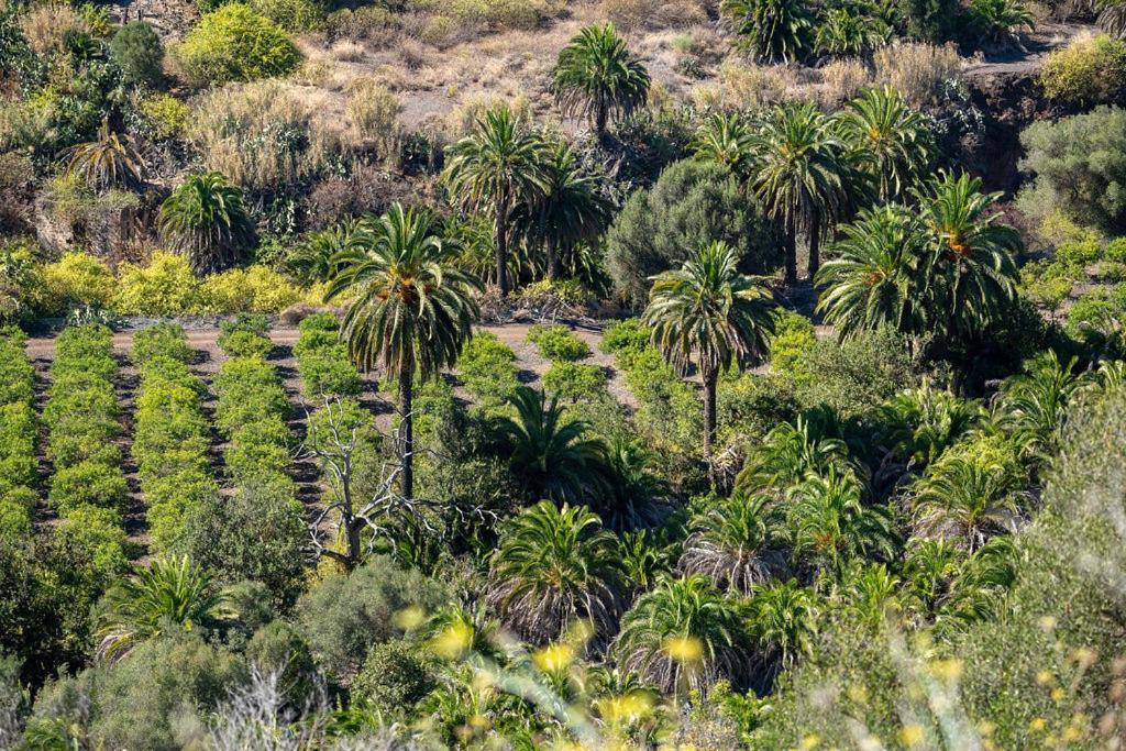 Monte Golf Playa del Ingles (Gran Canaria)