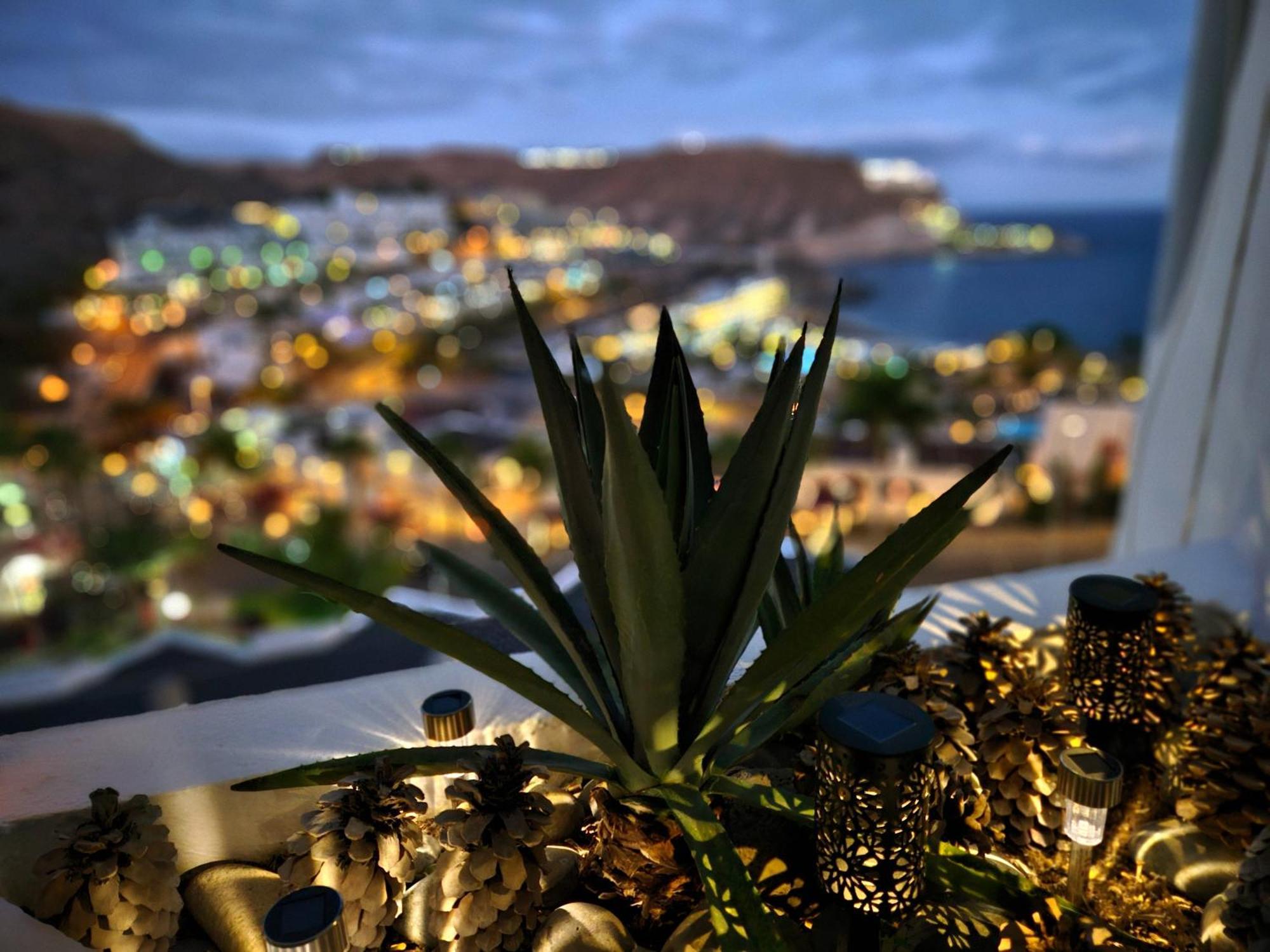Apartment Flor Ocean View