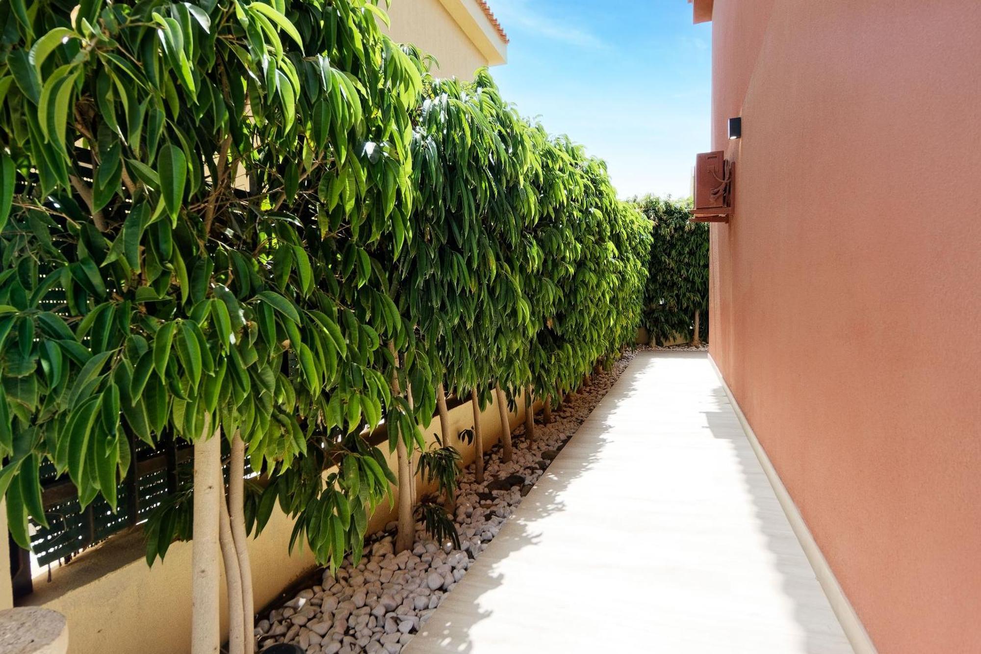 Anil Meloneras Villa San Bartolomé
