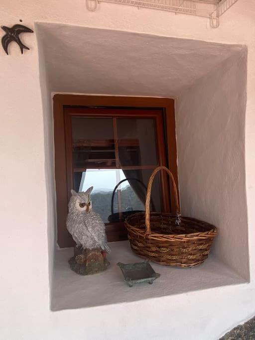 Ferienhaus Casa Abuelitilla