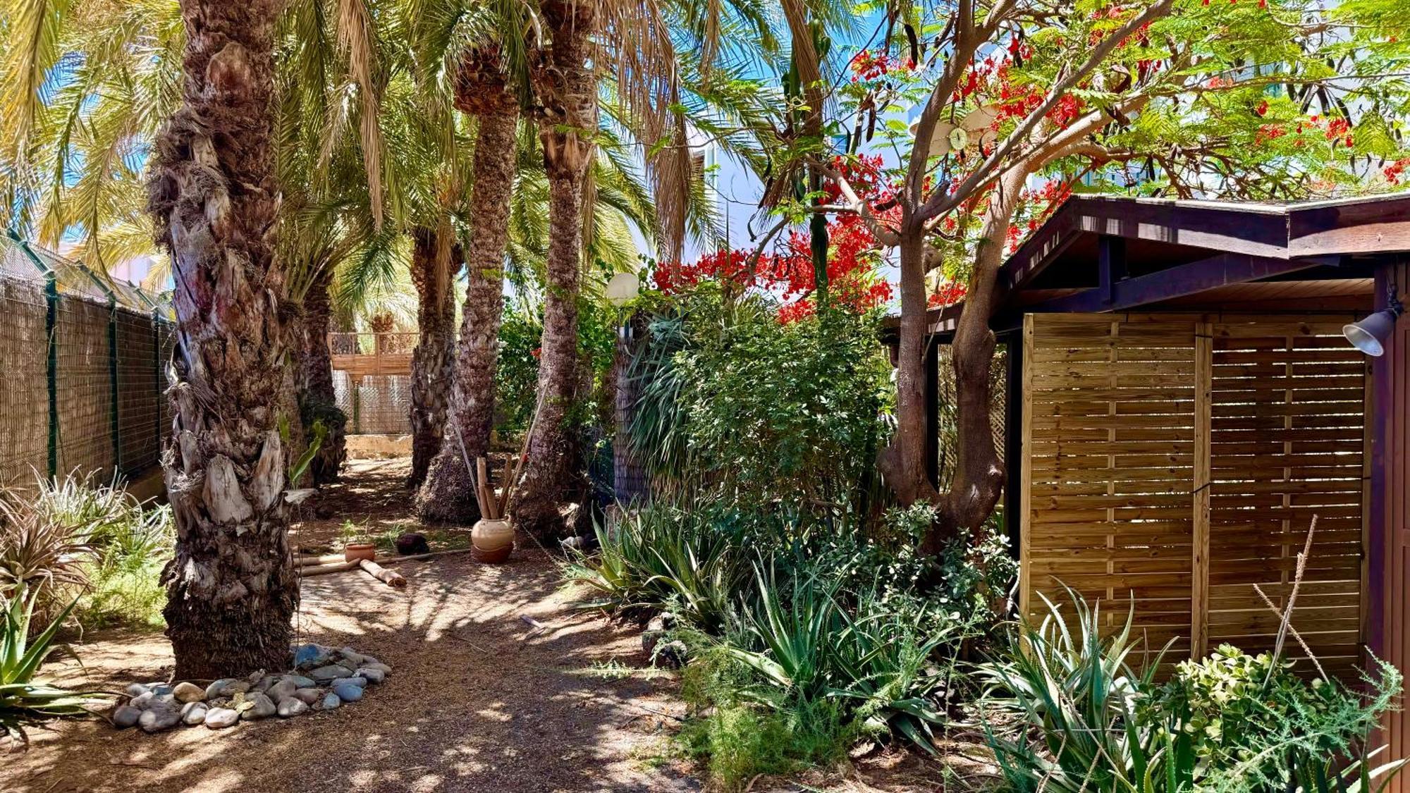 Gran Canaria Casa Magboss Iv I V By Jacek Budek