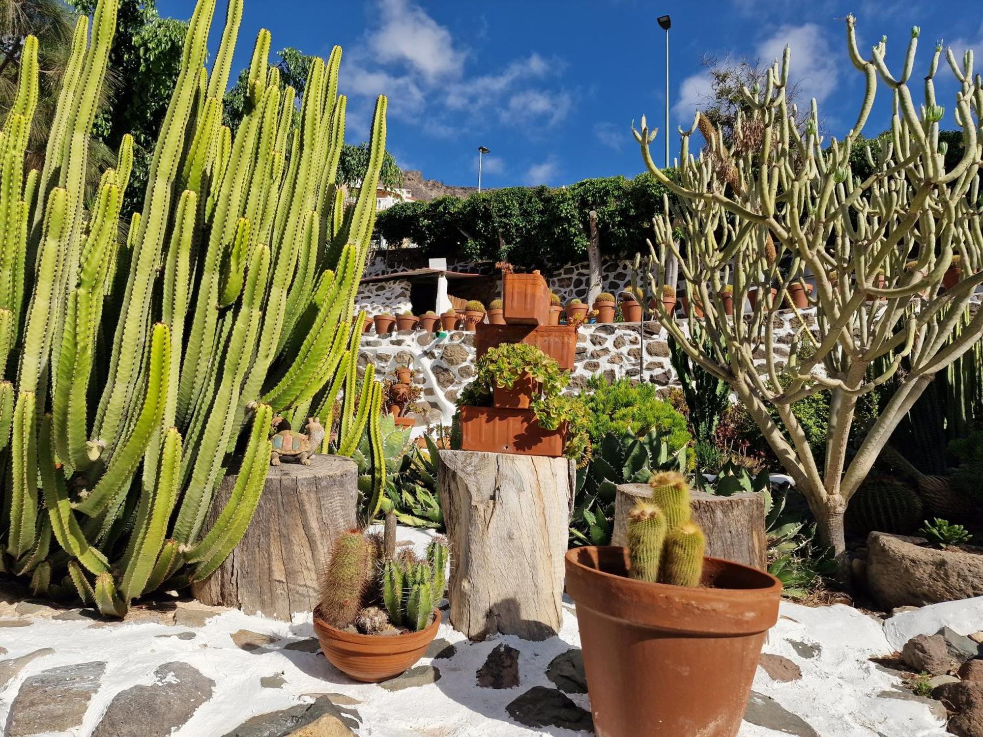 Historica Casa Con Vistas Al Jardin De Cactus Y Montanas * Mogán