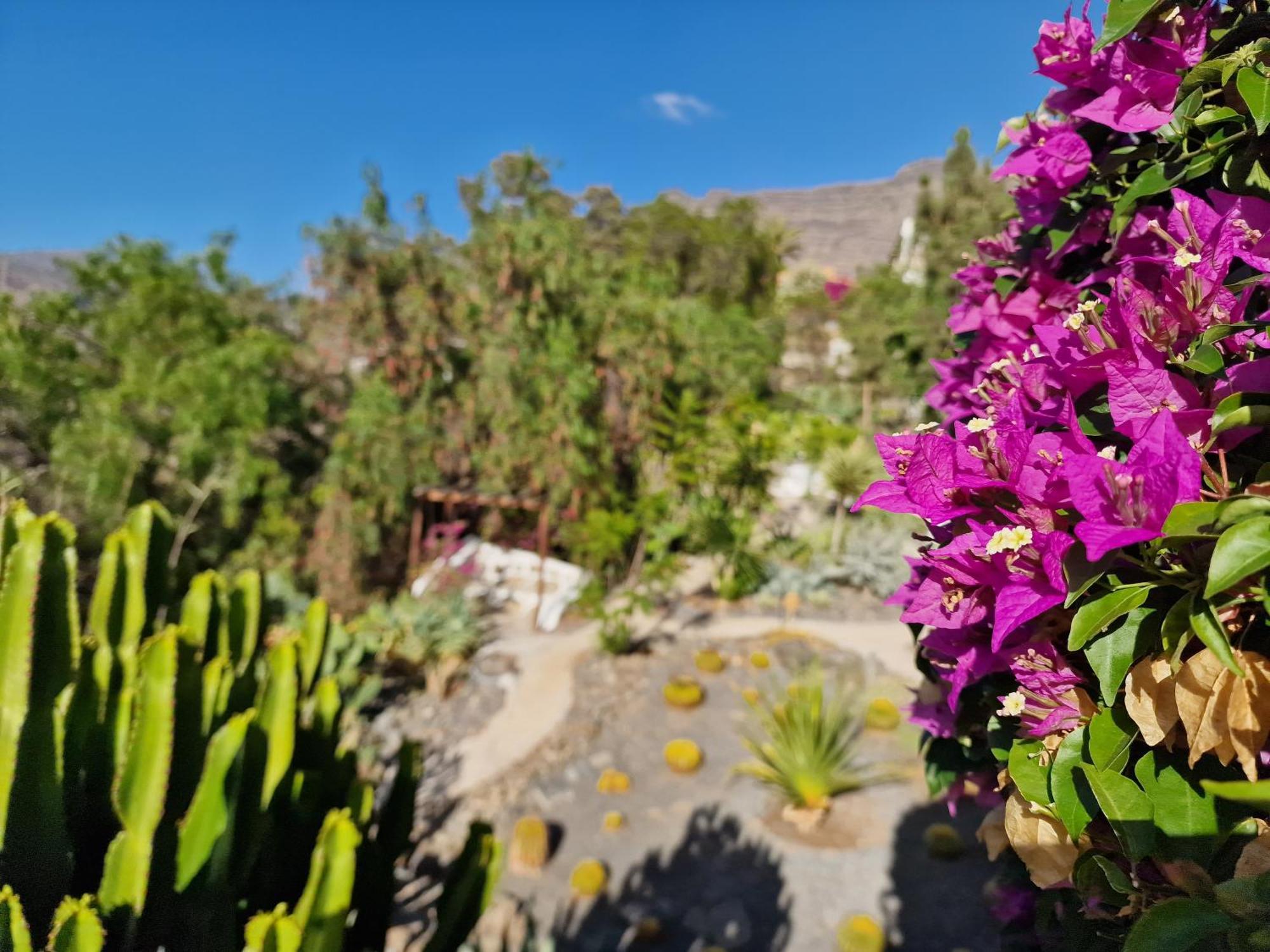 Сasa de vacaciones Historica Casa Con Vistas Al Jardin De Cactus Y Montanas *
