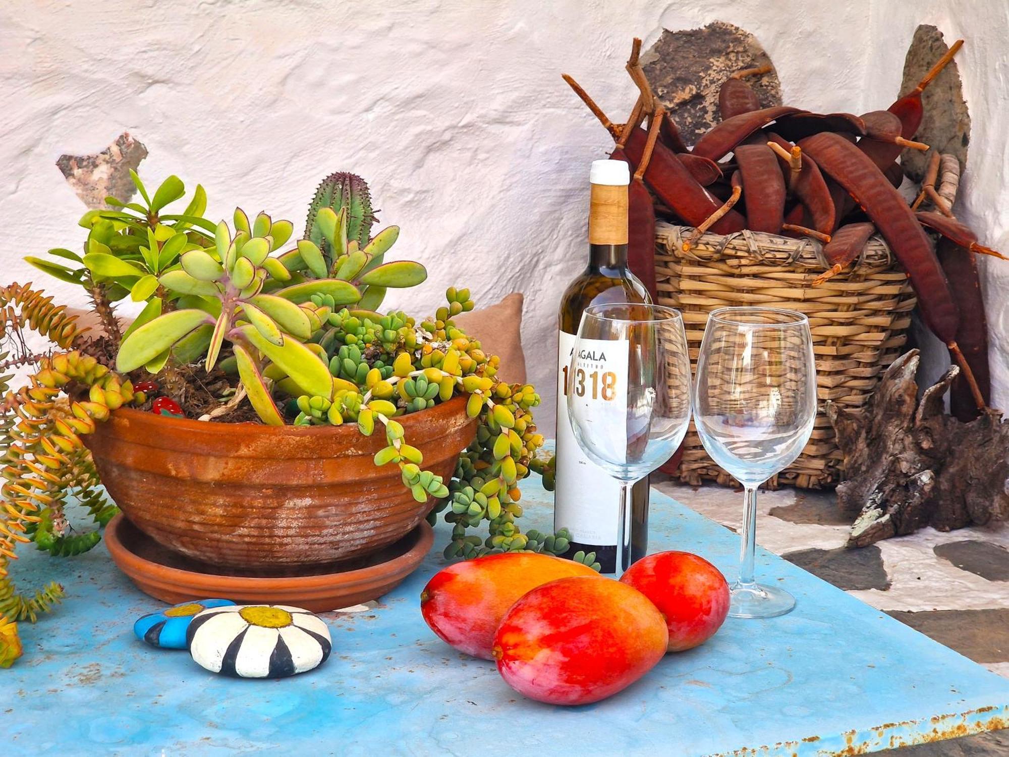 Historica Casa Con Vistas Al Jardin De Cactus Y Montanas Сasa de vacaciones