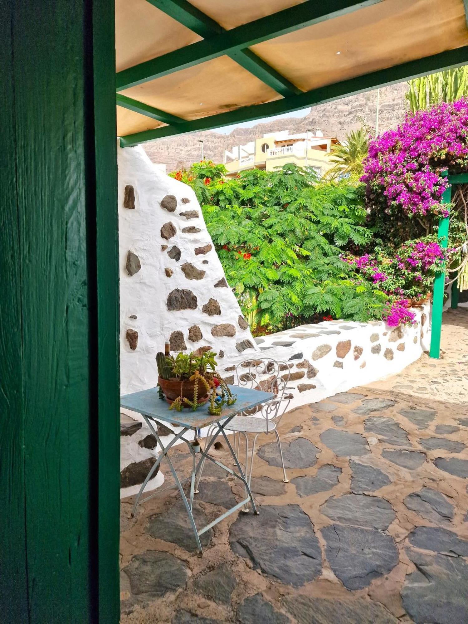 Historica Casa Con Vistas Al Jardin De Cactus Y Montanas * Mogán