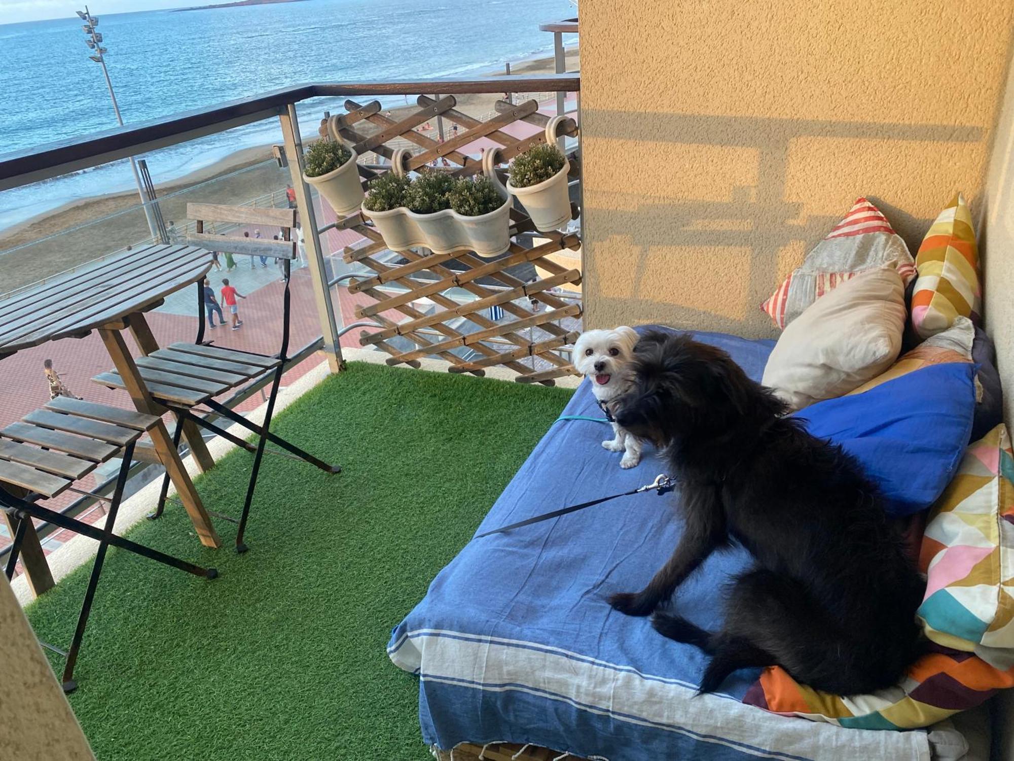 Mar Y Playa De Martín, 2b Apartamento Las Palmas de Gran Canaria
