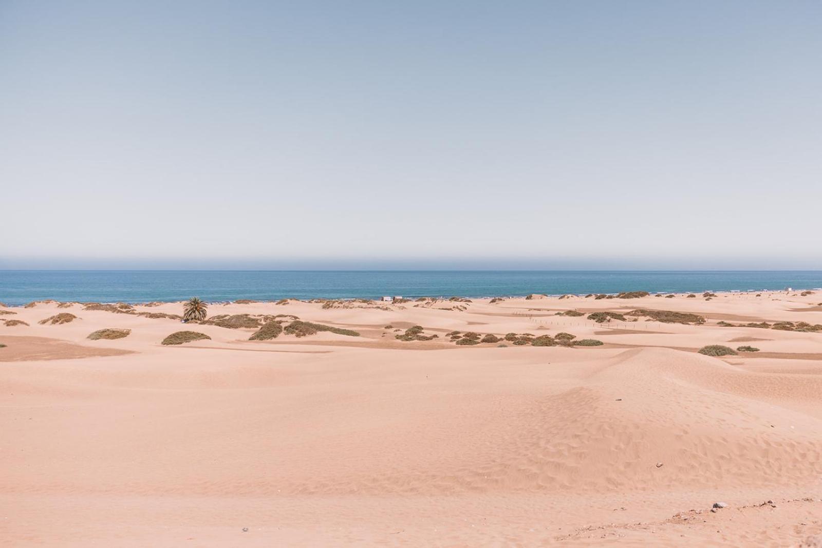 Sierra Del Mar