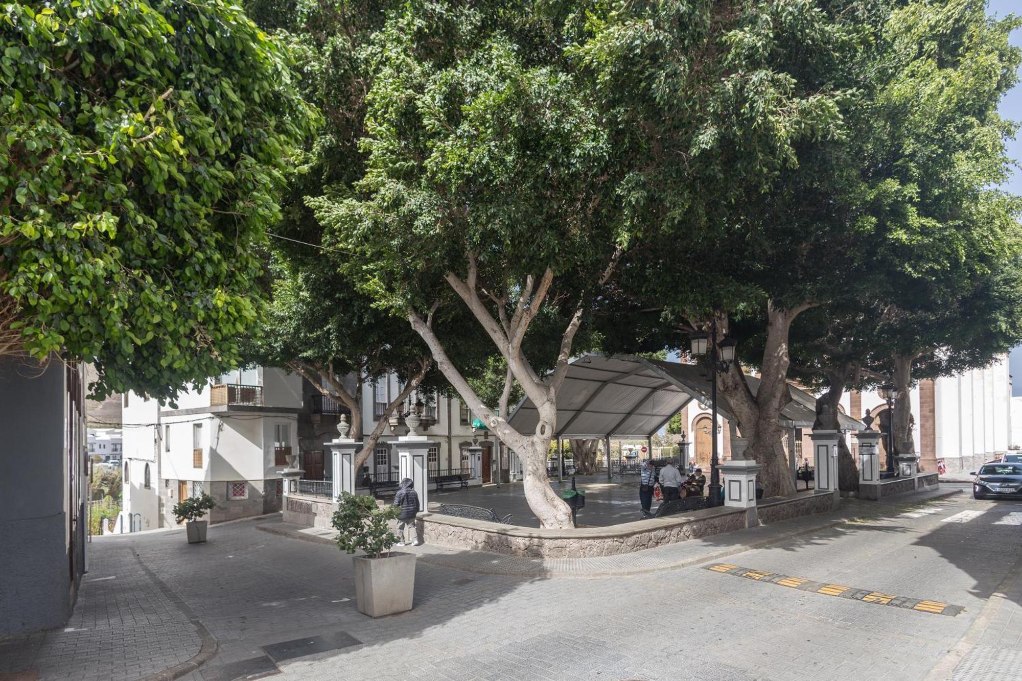 Casa Carmen Agaete Con Terraza Y Vistas Al Mar * Agaete (Gran Canaria)