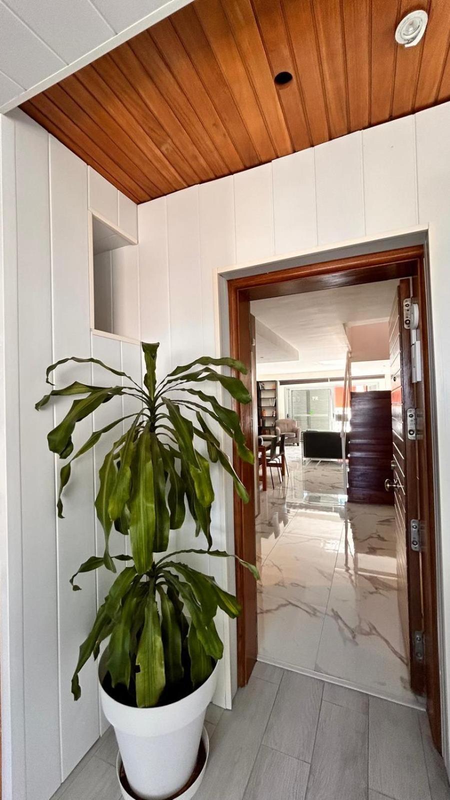 Con Piscina Privada Palmeras *