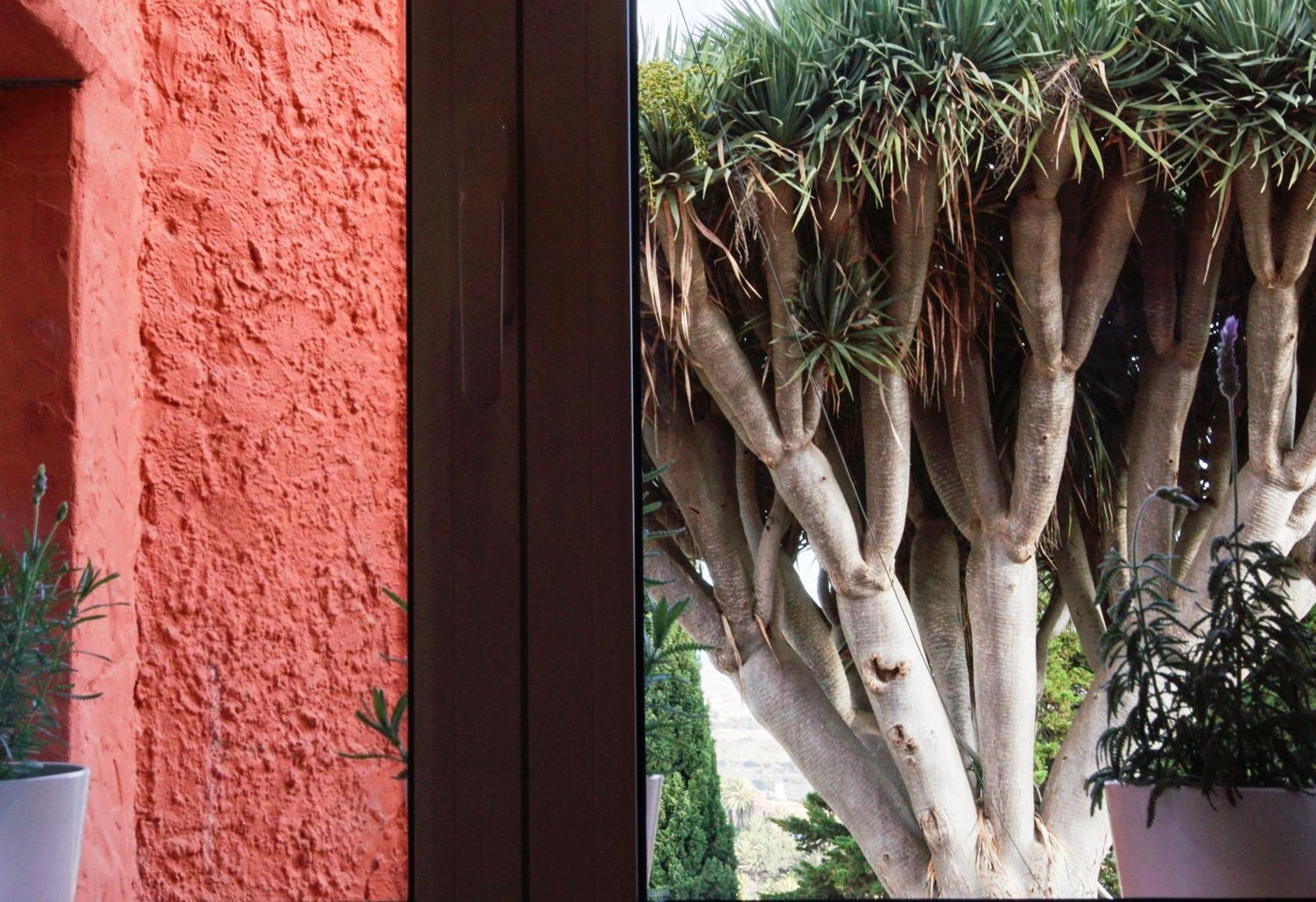 Casa Drago - Cozy 1br With Scenic Views