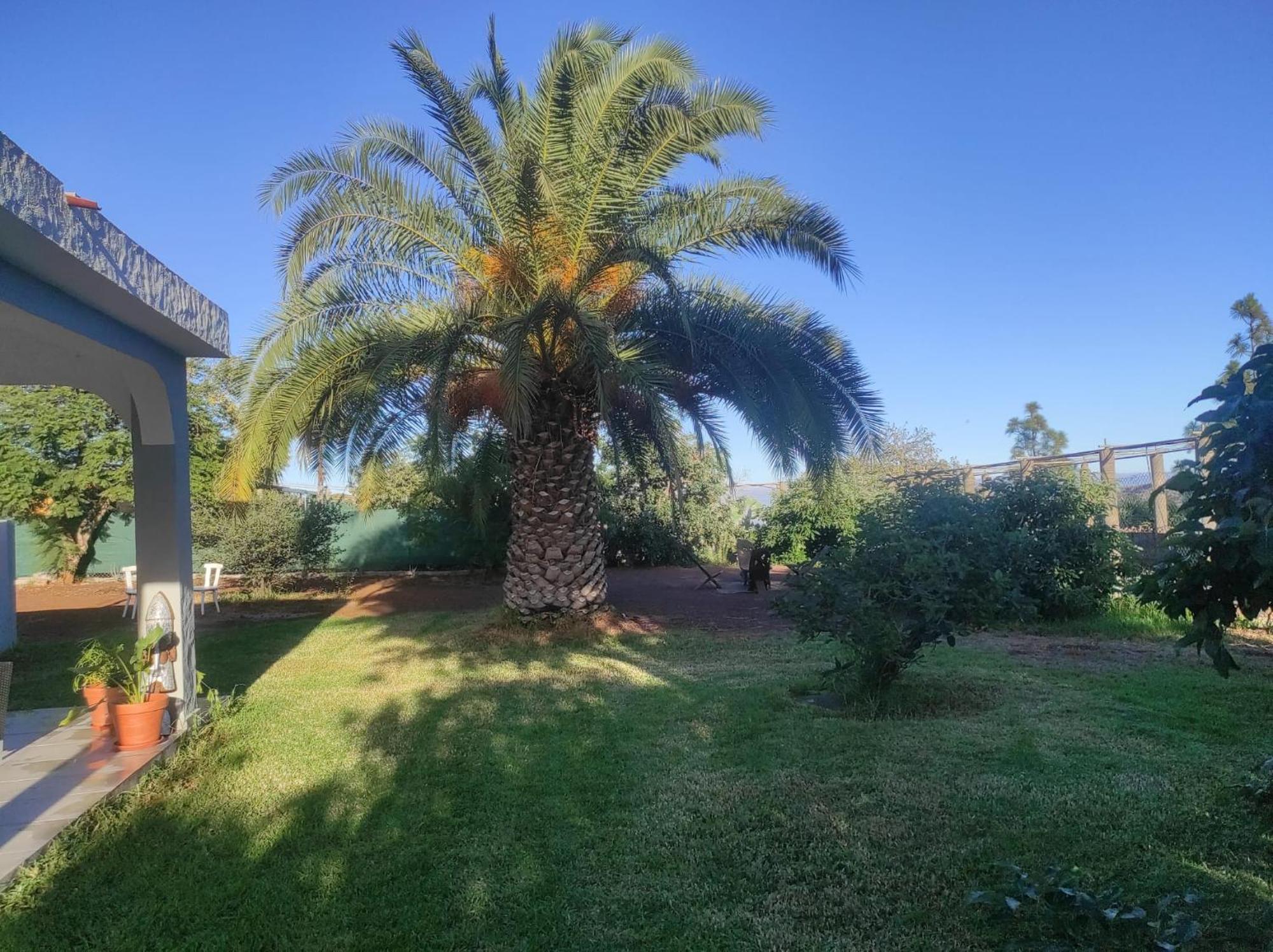 Gran Canaria Completely Renovated With Jacuzzi Valsequillo de Gran Canaria