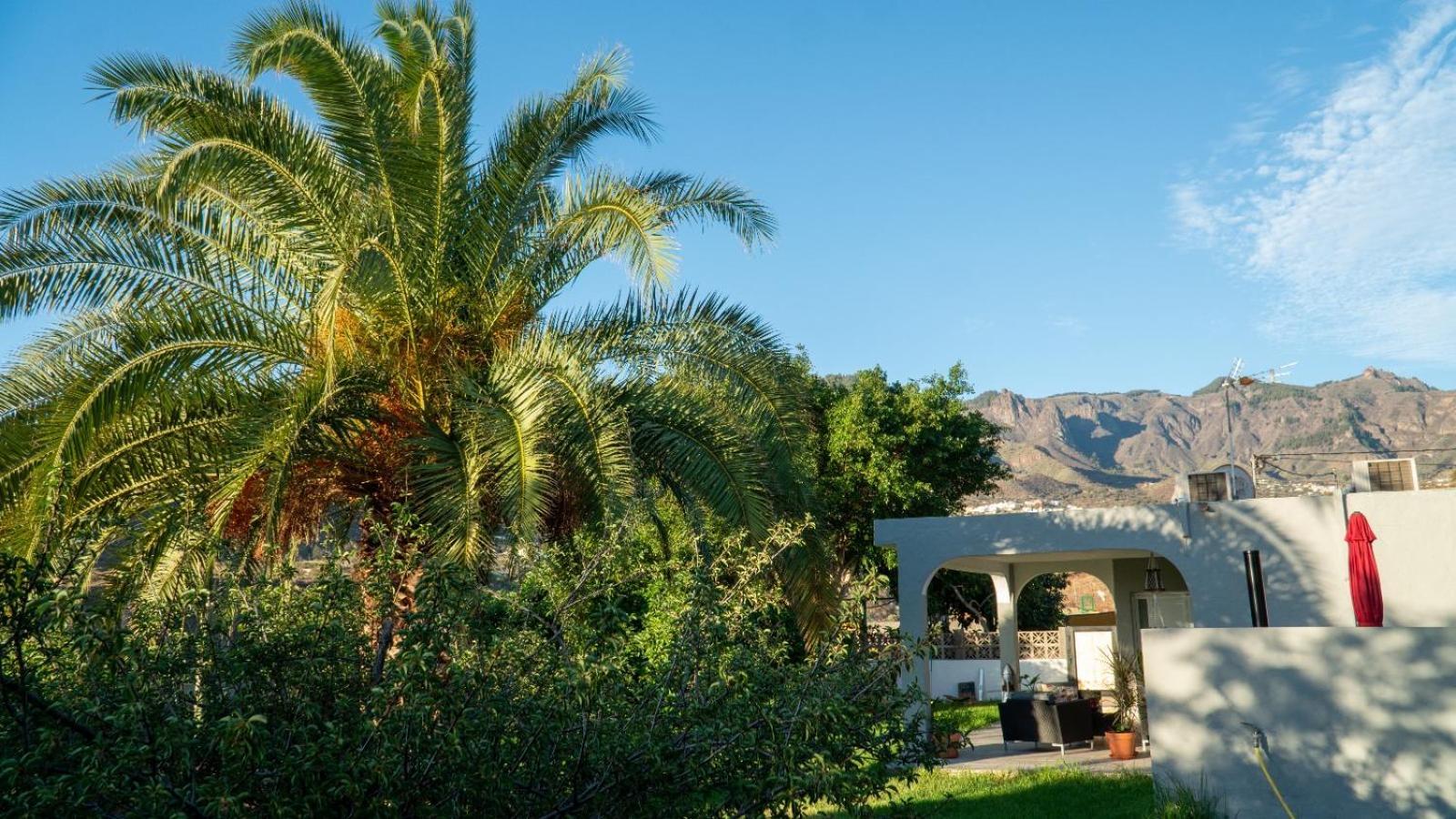 Gran Canaria Completely Renovated With Jacuzzi Landhaus