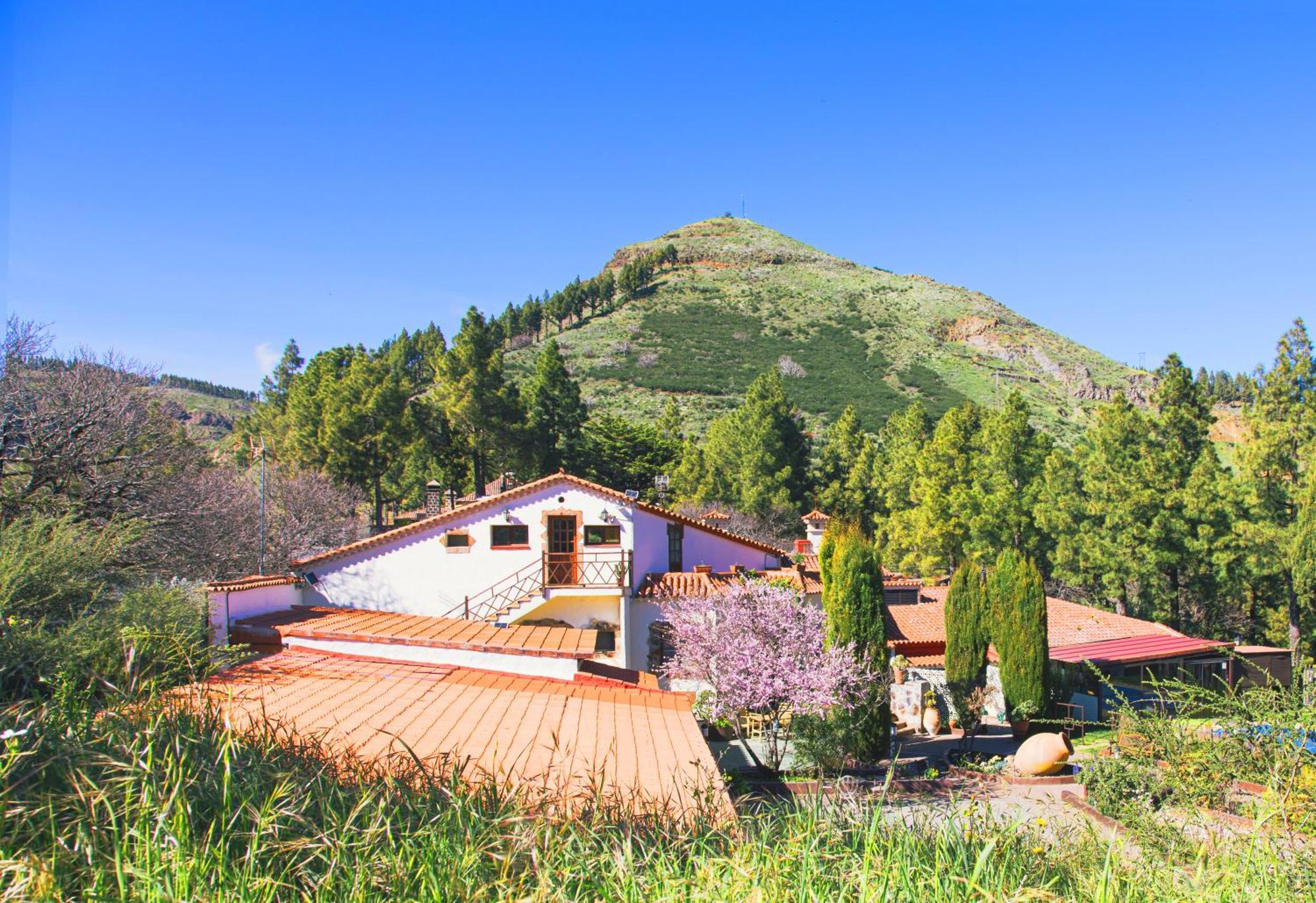 Rural El Refugio - Adults Only Tejeda (Gran Canaria)