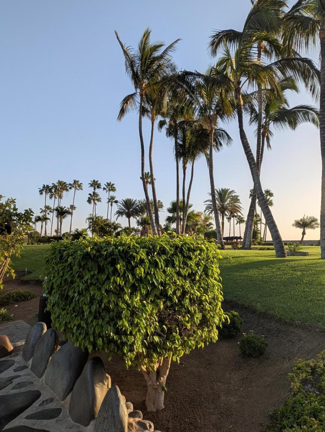 Sonido Del Mar Gran Canaria - Montemarina - Luxury Panoramic View Mogan