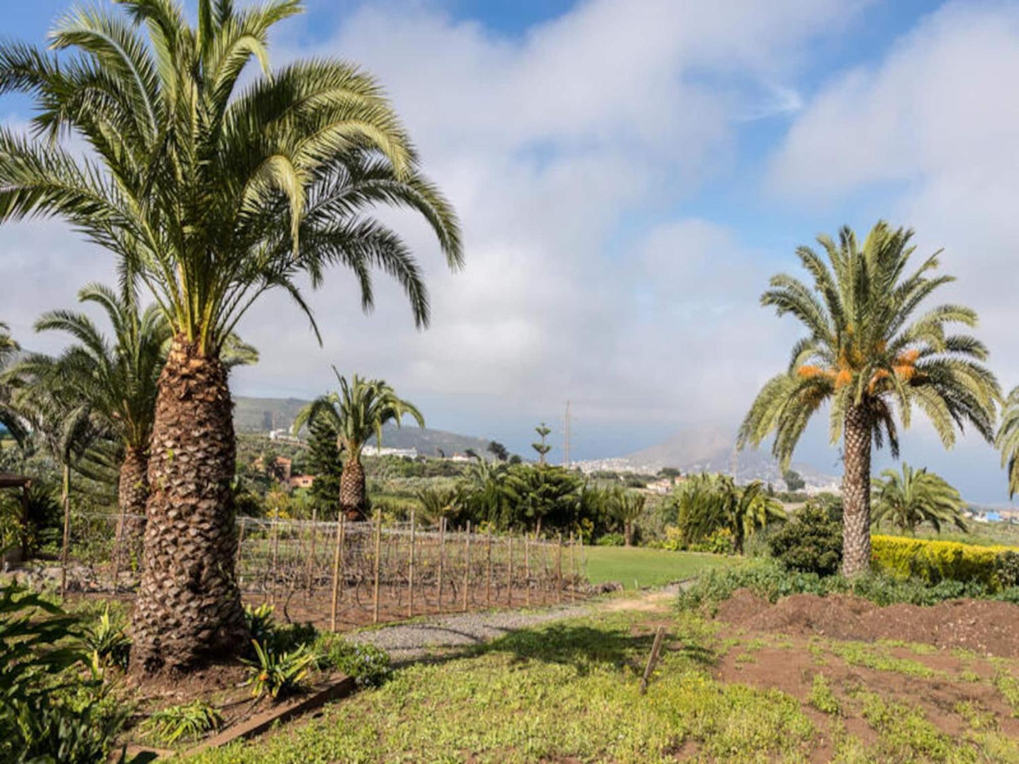 Los Paredones Farm - Private Pool - Garden Apartment Las Palmas de Gran Canaria