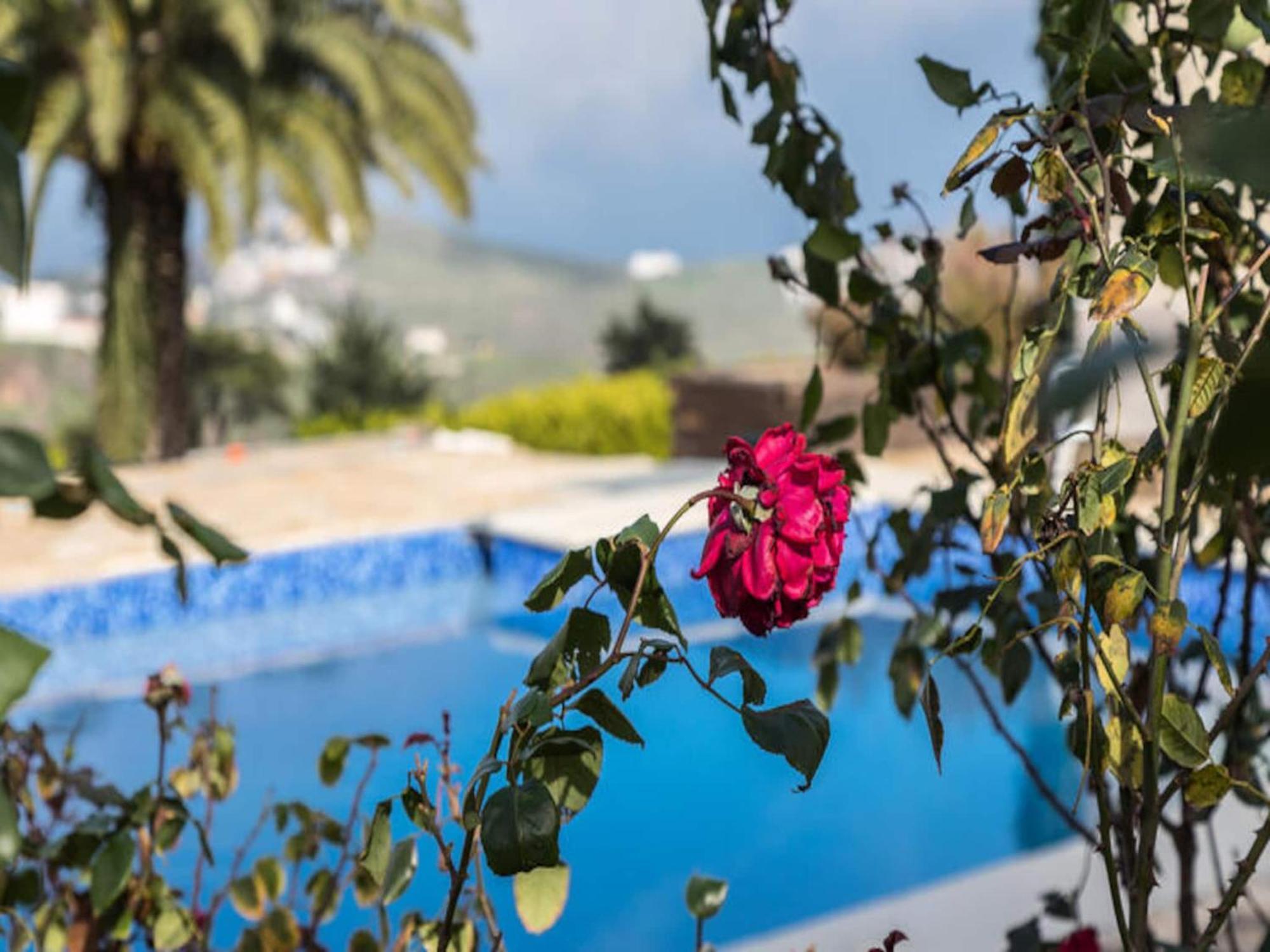 Apartment Los Paredones Farm - Private Pool - Garden
