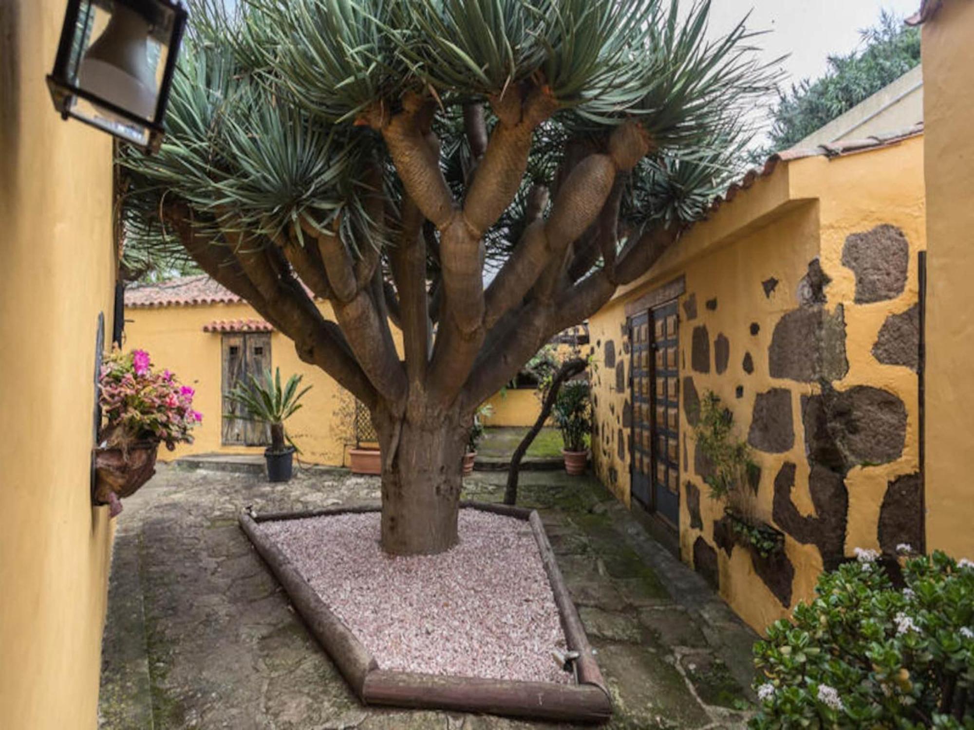 Apartment Los Paredones Farm - Private Pool - Garden Las Palmas de Gran Canaria
