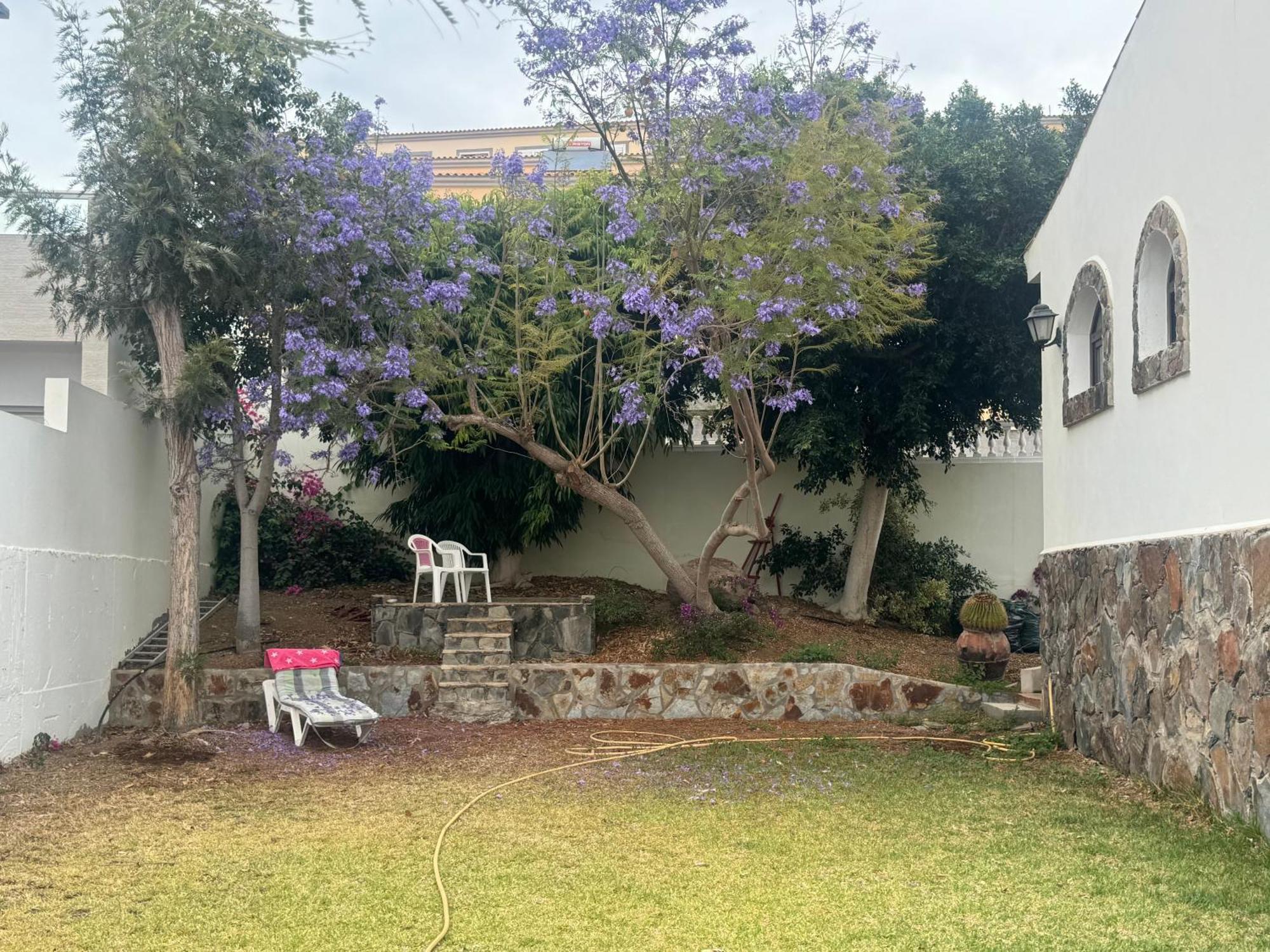Rex - Sun & Casa de férias Las Palmas de Gran Canária