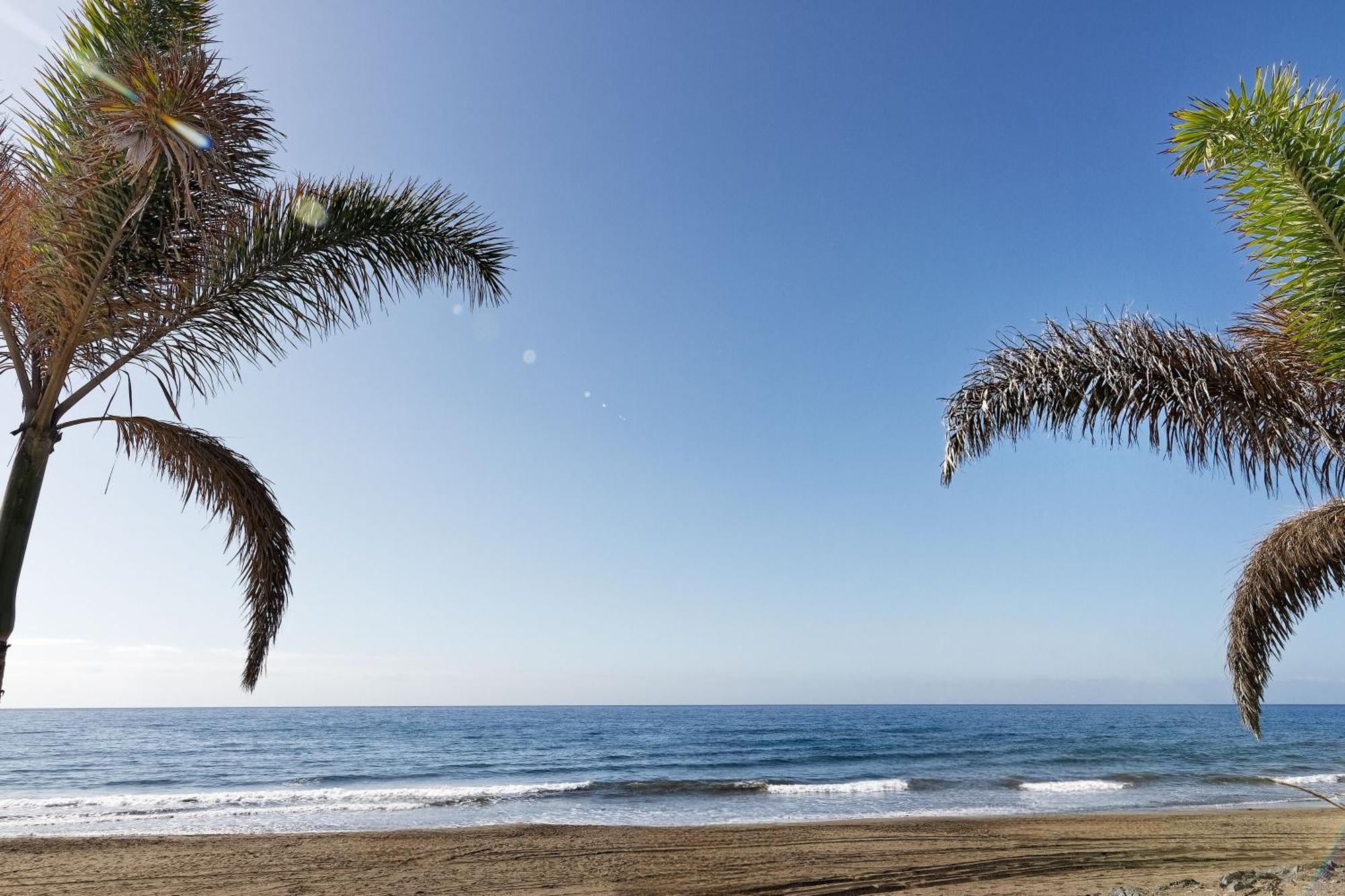 Amapola Palms - Recien Reformado, Frente Al Mar *