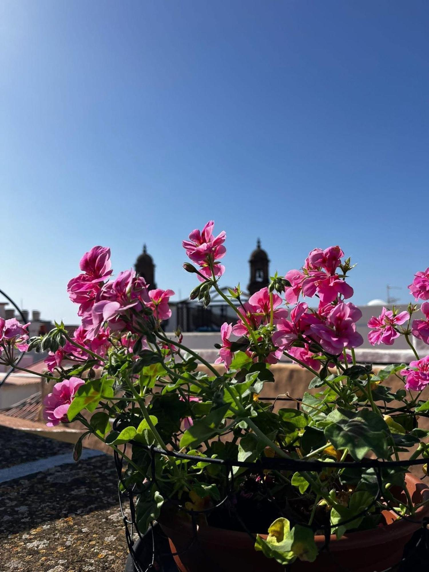 Holiday home Casa De Guia Santa Maria de Guia de Gran Canaria