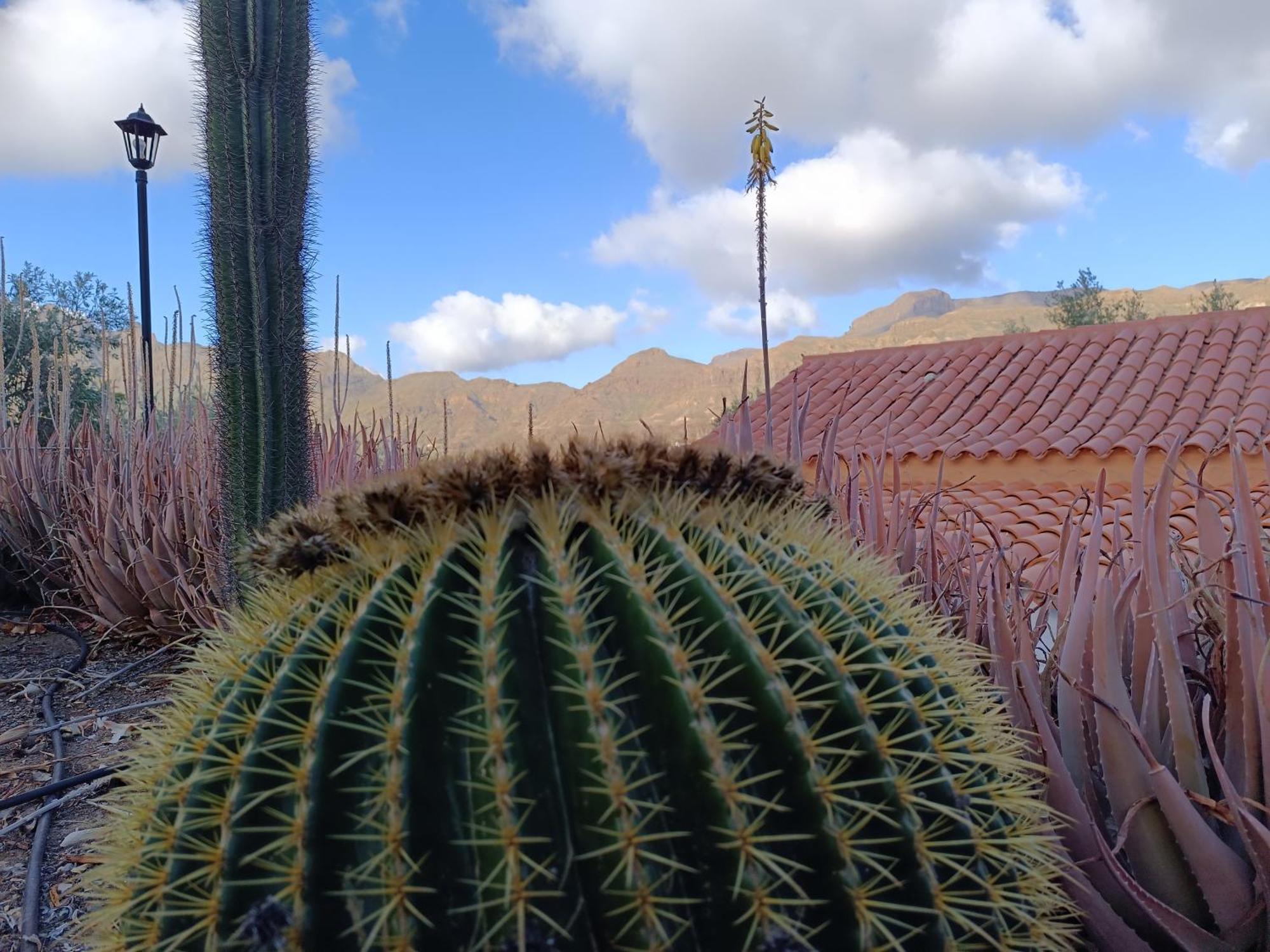 La Casa De La Pradera * Santa Lucia De Tirajana
