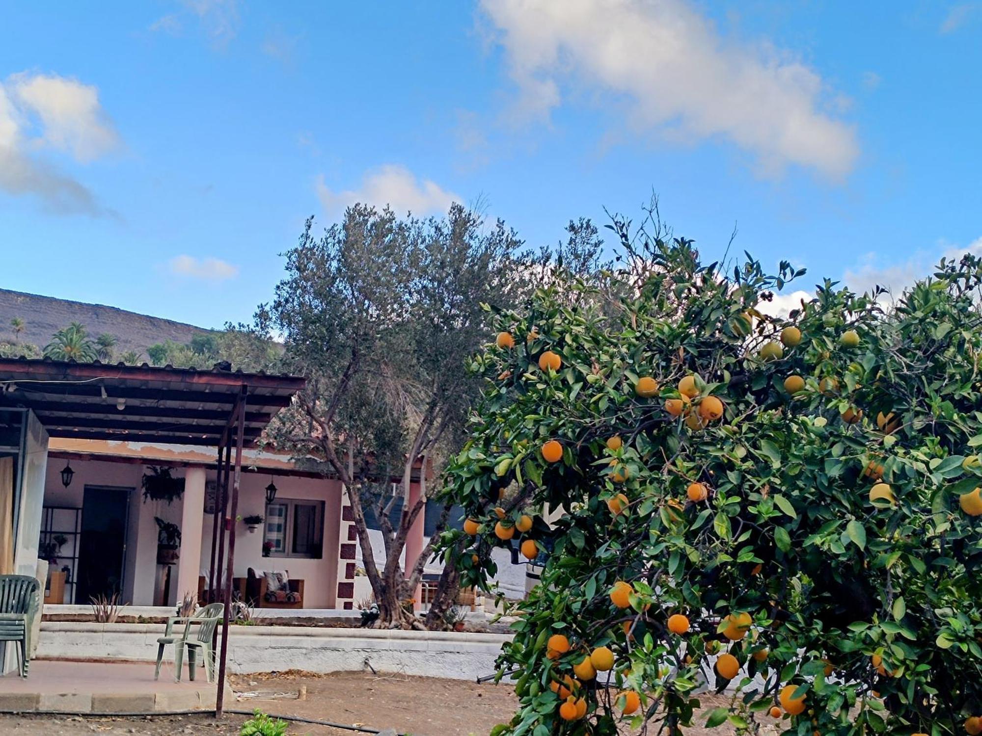 La Casa De La Pradera Bed & Breakfast