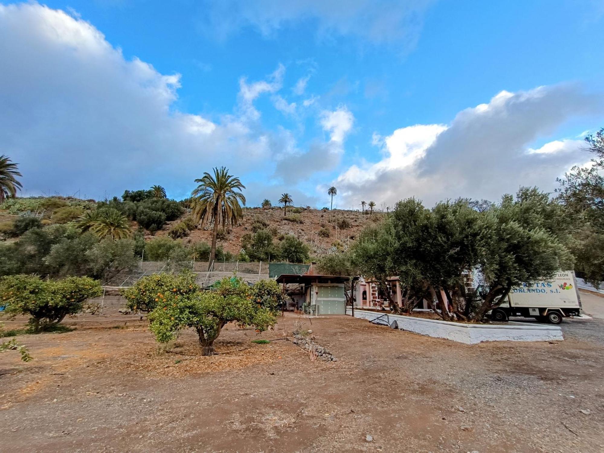 La Casa De La Pradera * Santa Lucia De Tirajana