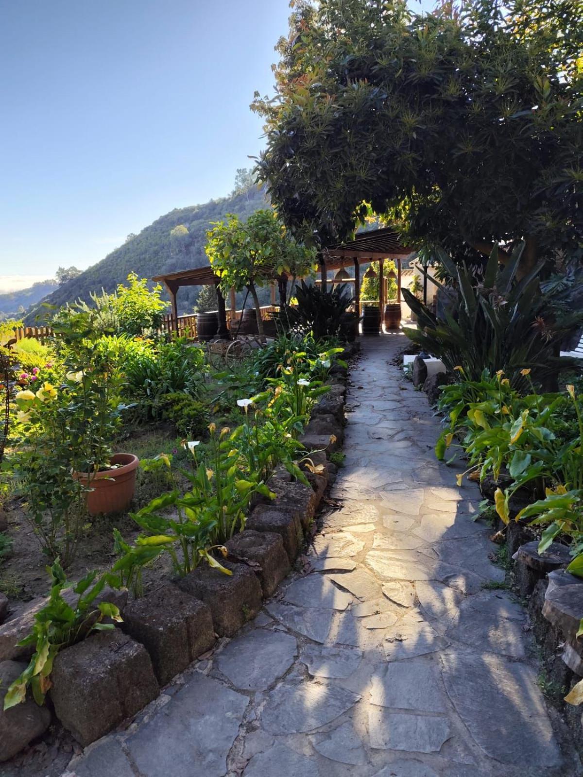Apartamento Arcos Del Laurel Moya (Gran Canaria)