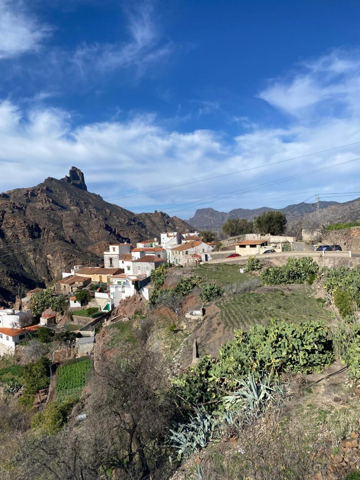 Apartment Nature In Tejeda (Gran Canaria)