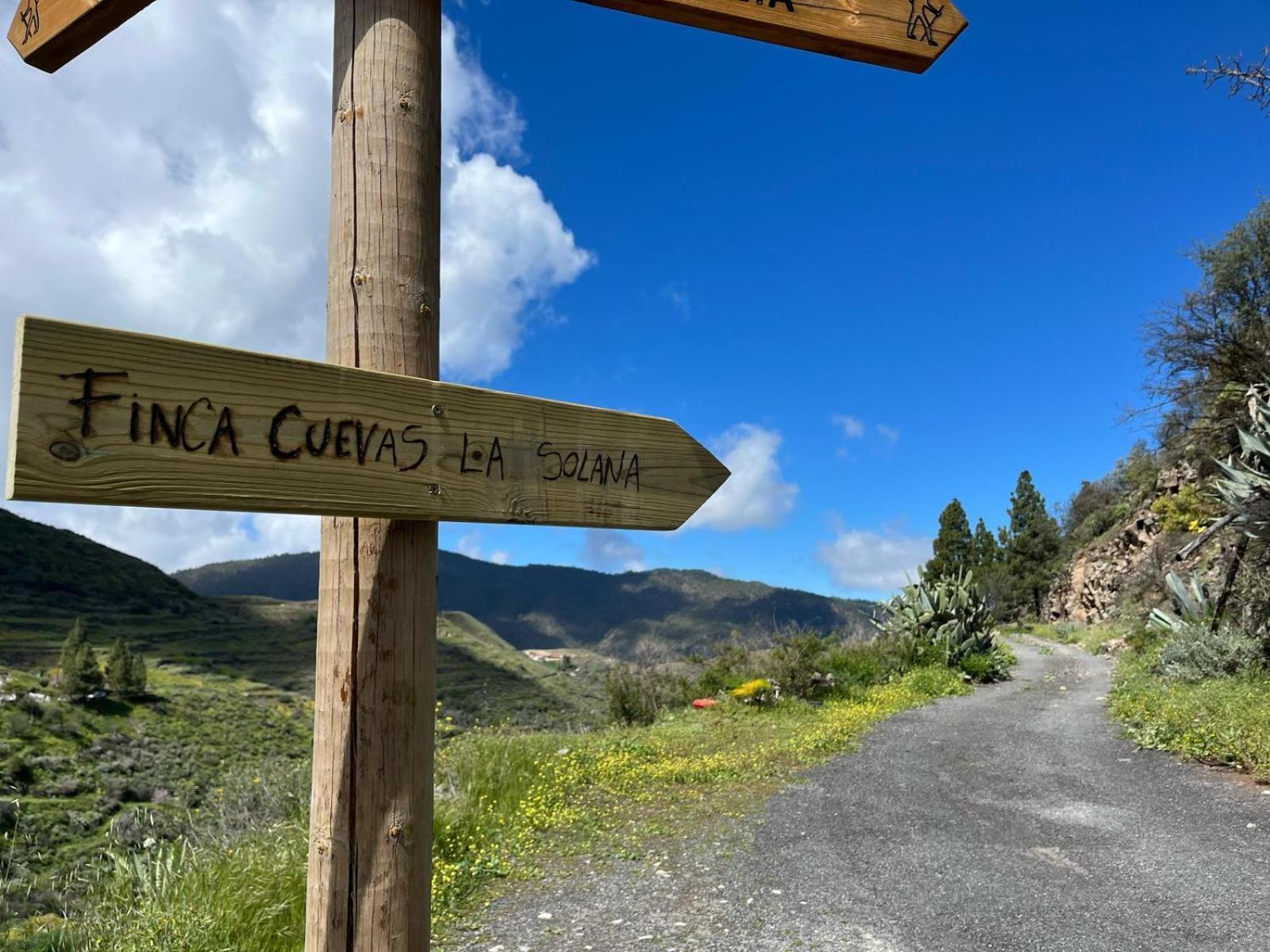 Cuevas La Solana Luxury tent *