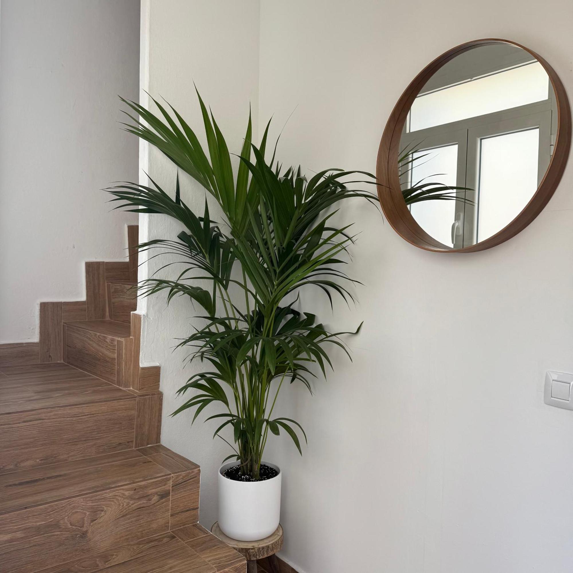 Appartement Casa Yeye Loft *