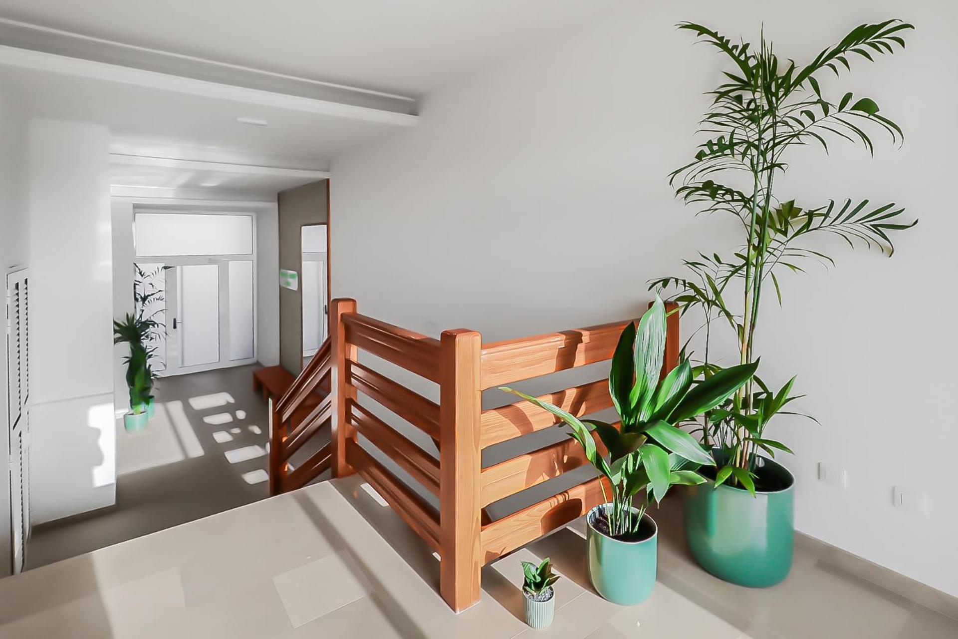 Apartment Shine Agaete (Gran Canaria)