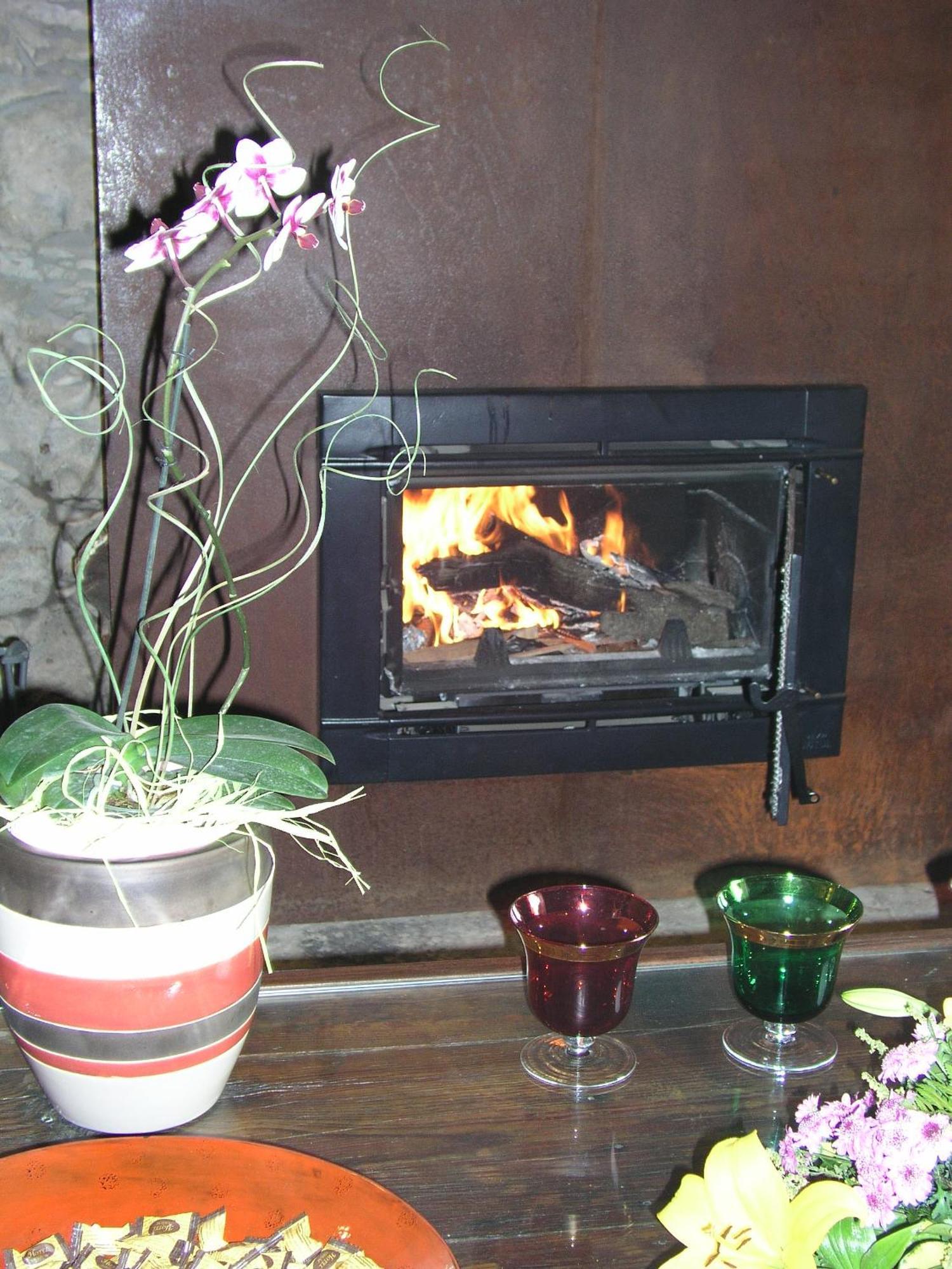 Fonda De La Tea