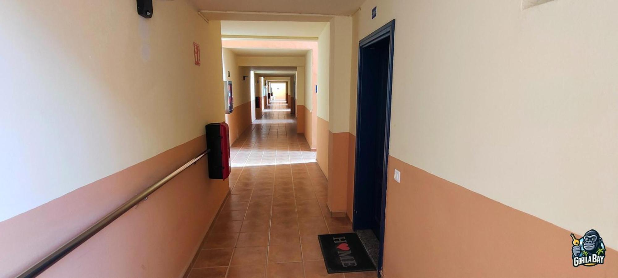 Apartment Gorila Bay *