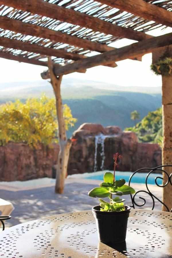 Casa Oronado *