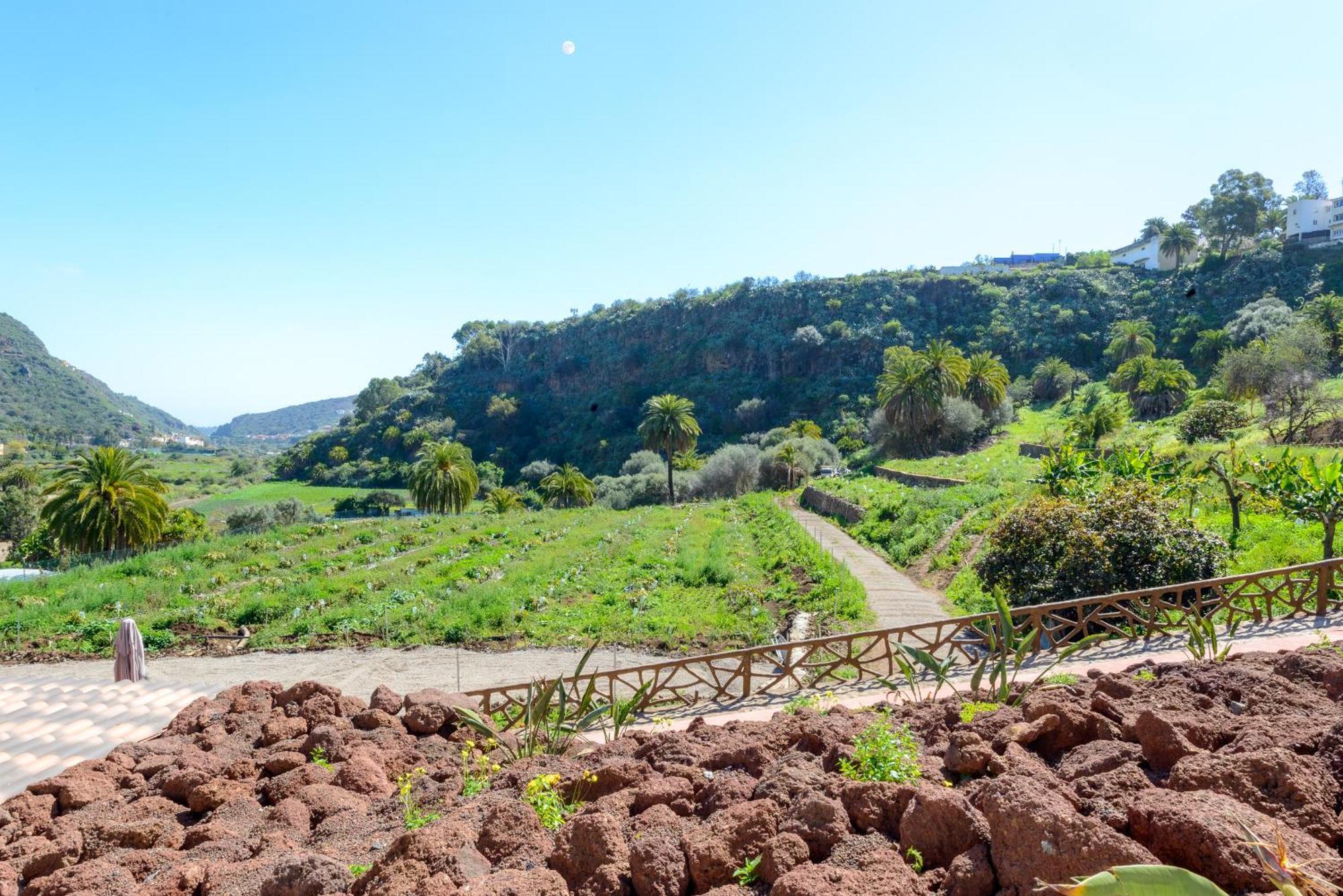 Hotel Quinta Entre Palmeras Santa Brigida (Gran Canaria)