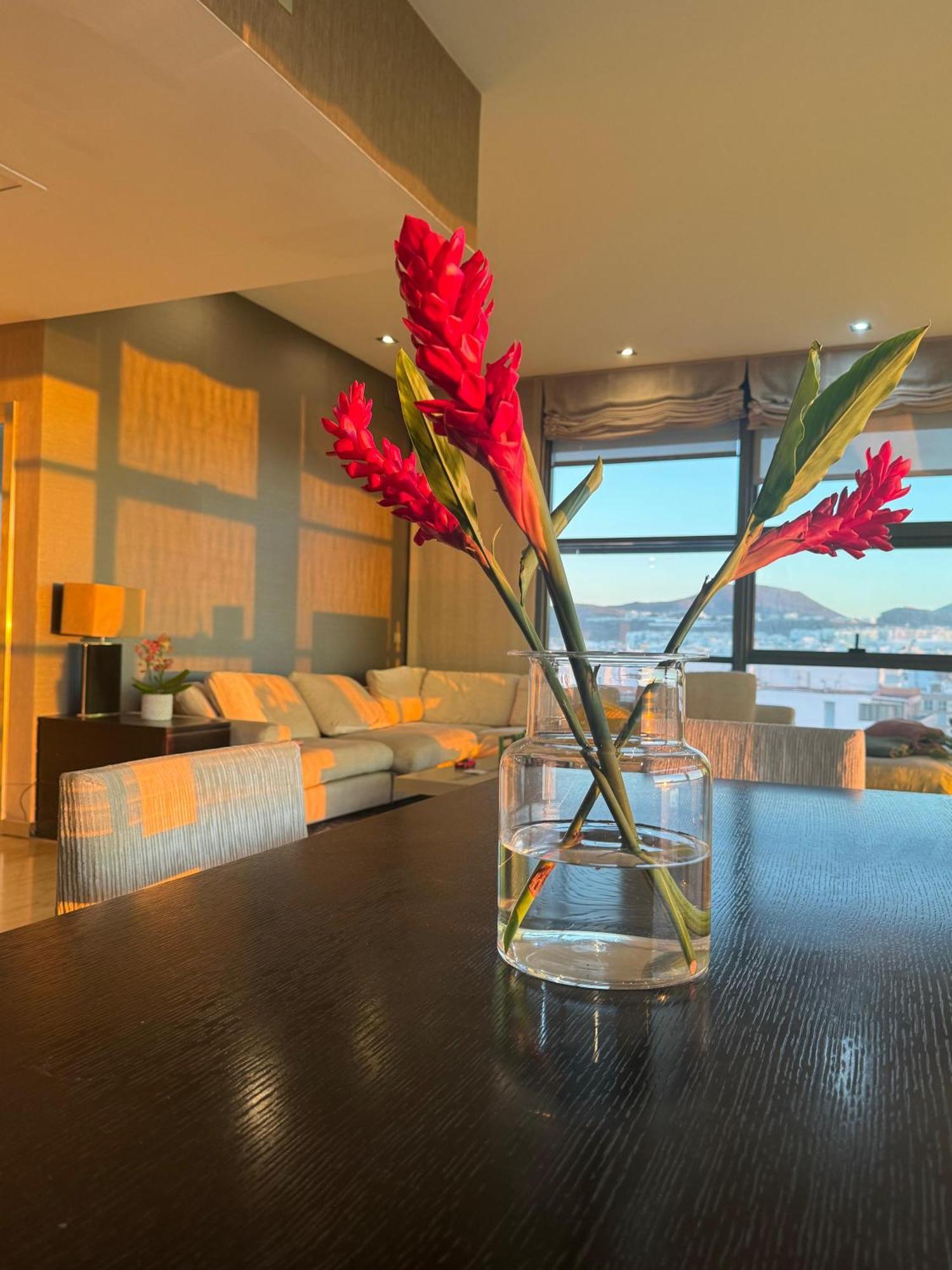 Apartment Luxury Family Beachfront *