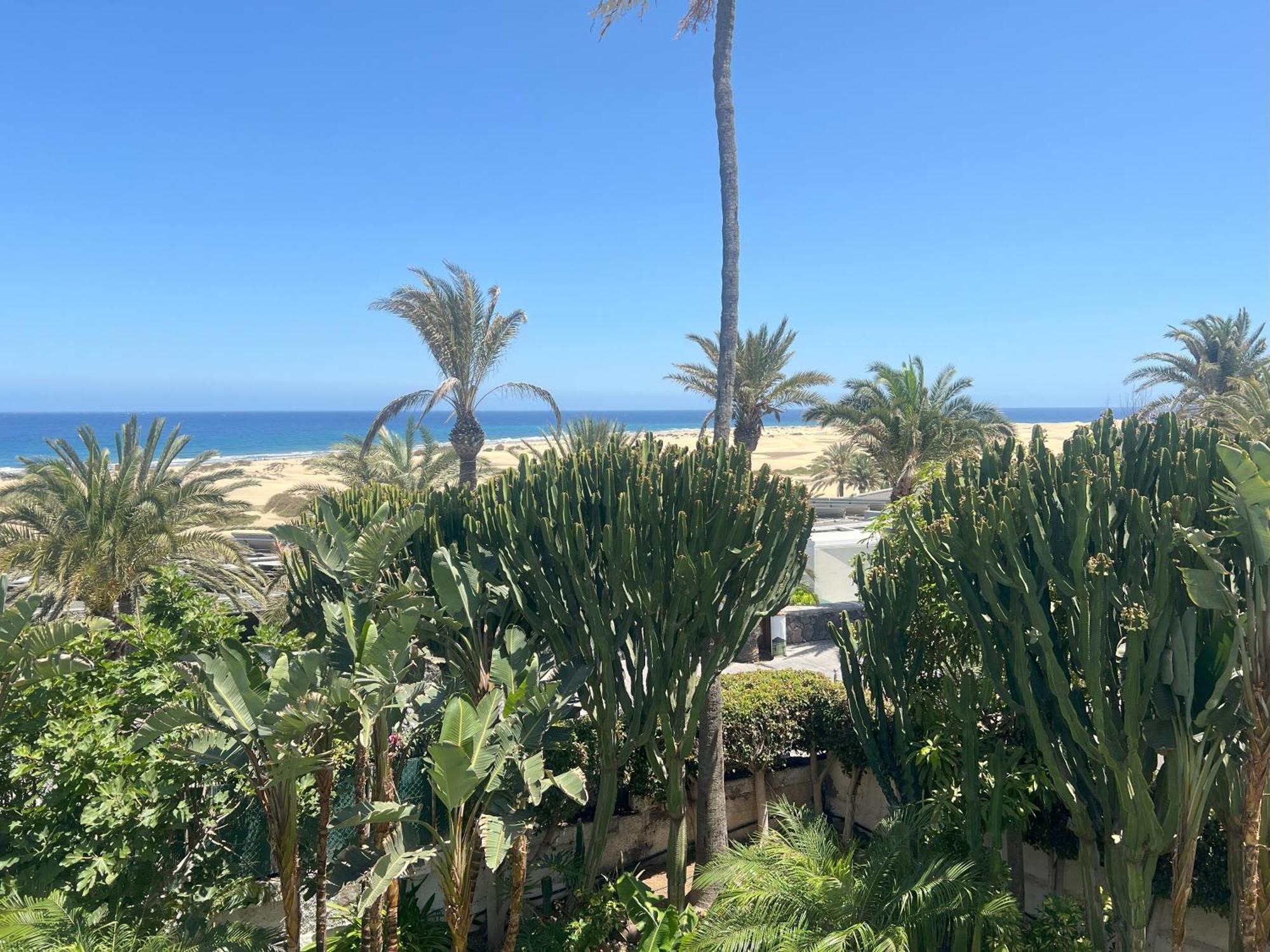 Taboga (adults Only) * Playa del Inglés