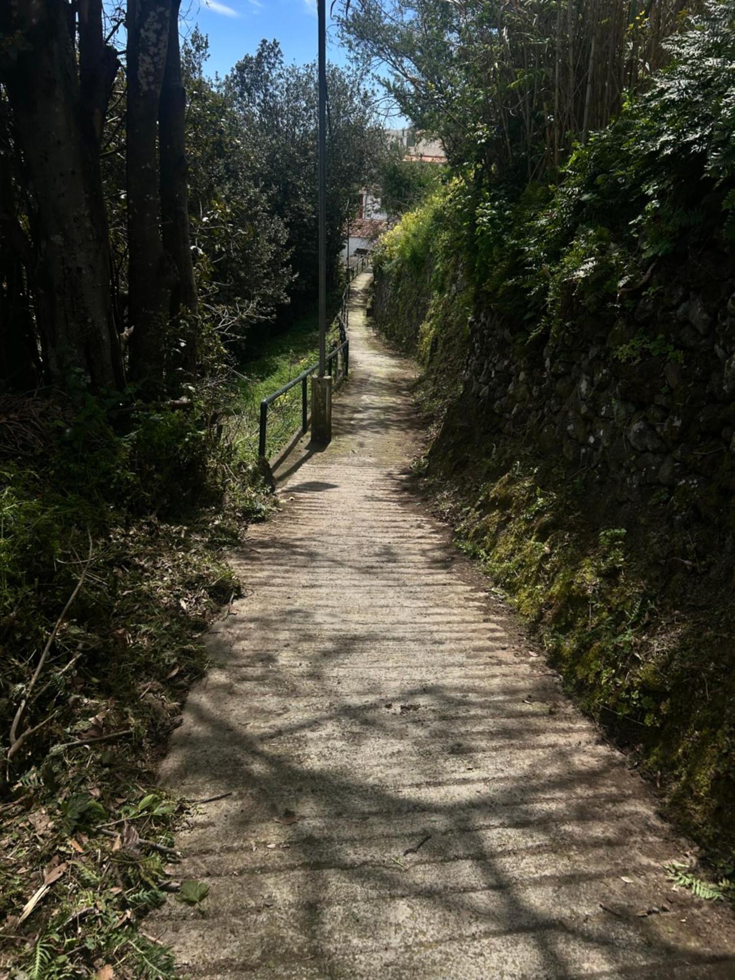 Garancor * Valleseco