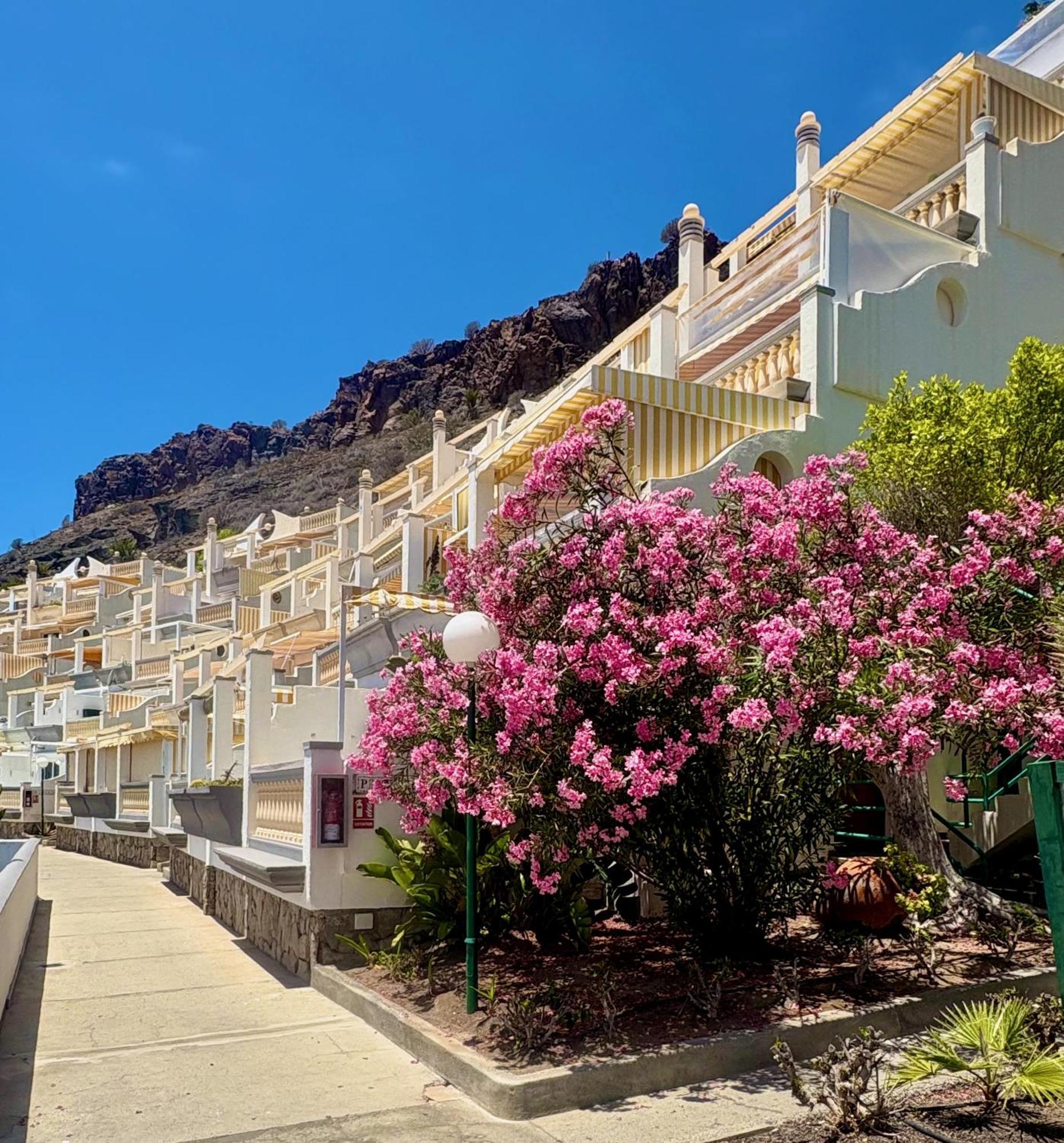 Monsenor Ocean Panorama