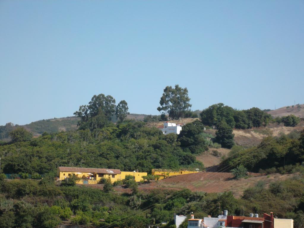 Naturacanaria * Moya (Gran Canaria)
