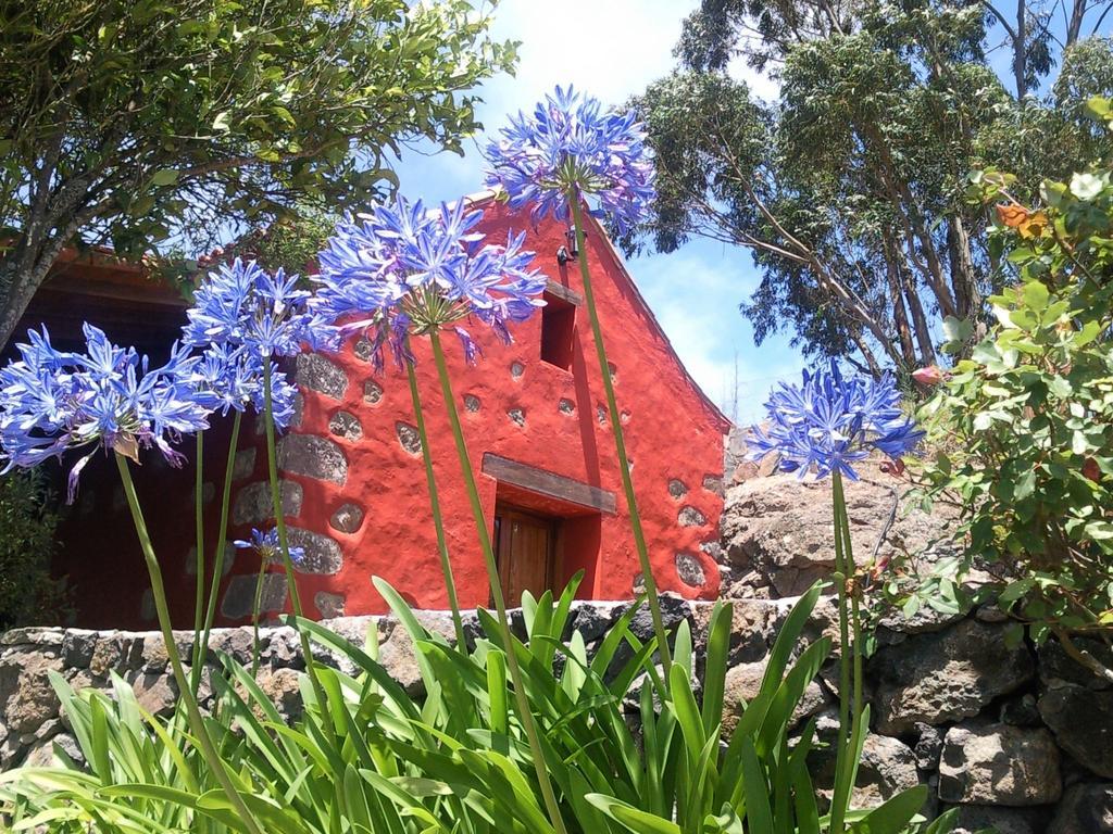 Casa Completa Con Piscina Privada El Roble Casa rural Moya (Gran Canaria)