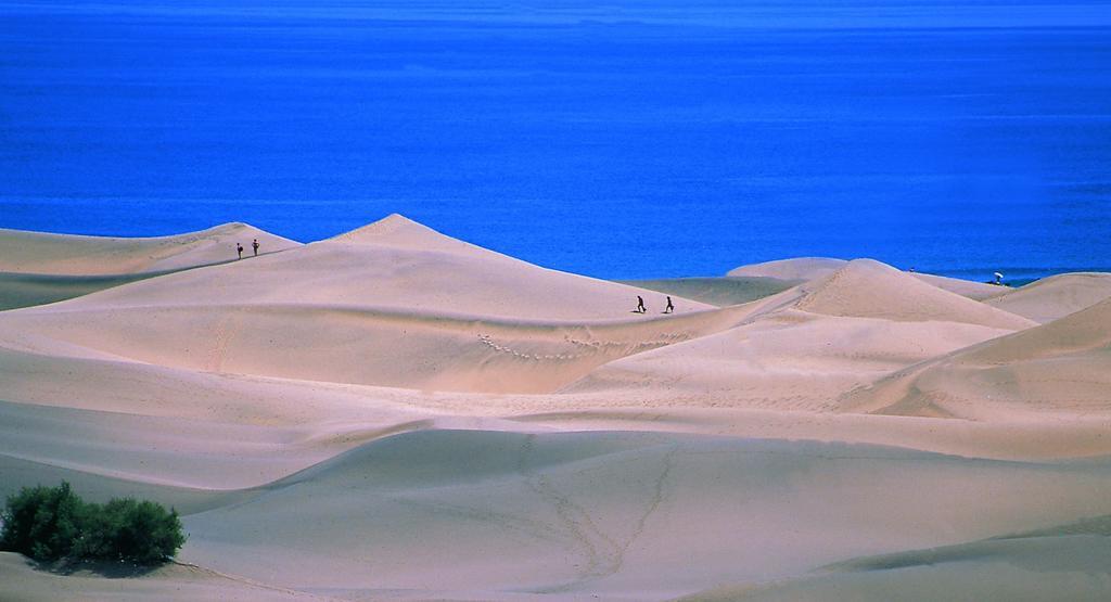 Oasis Playa Maspalomas Maspalomas (Gran Canaria)