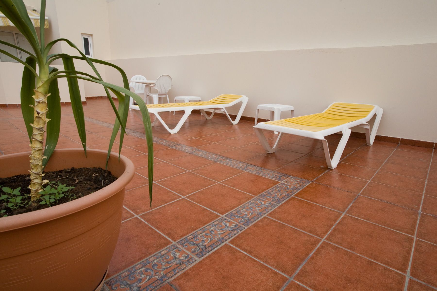 Apartment Catalina Park