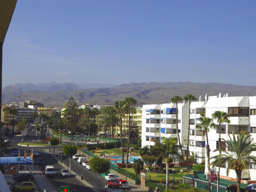 Camelias Apartment