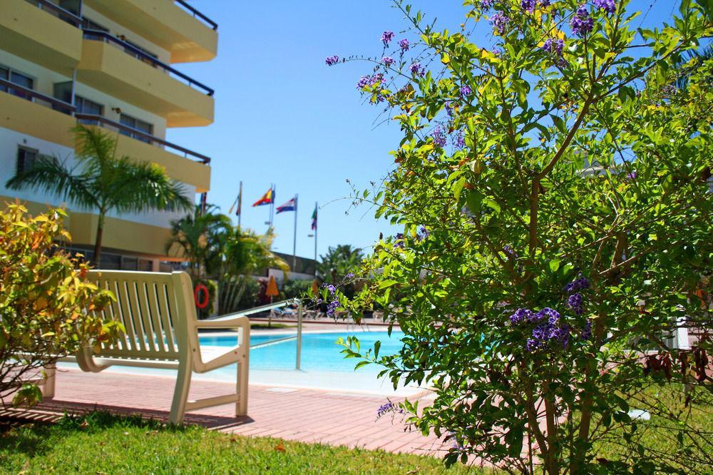 Camelias Apartment *