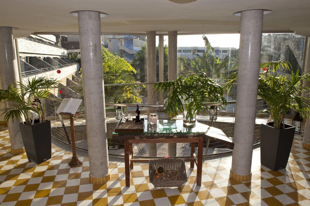 Terraza De Amadores Apartment *
